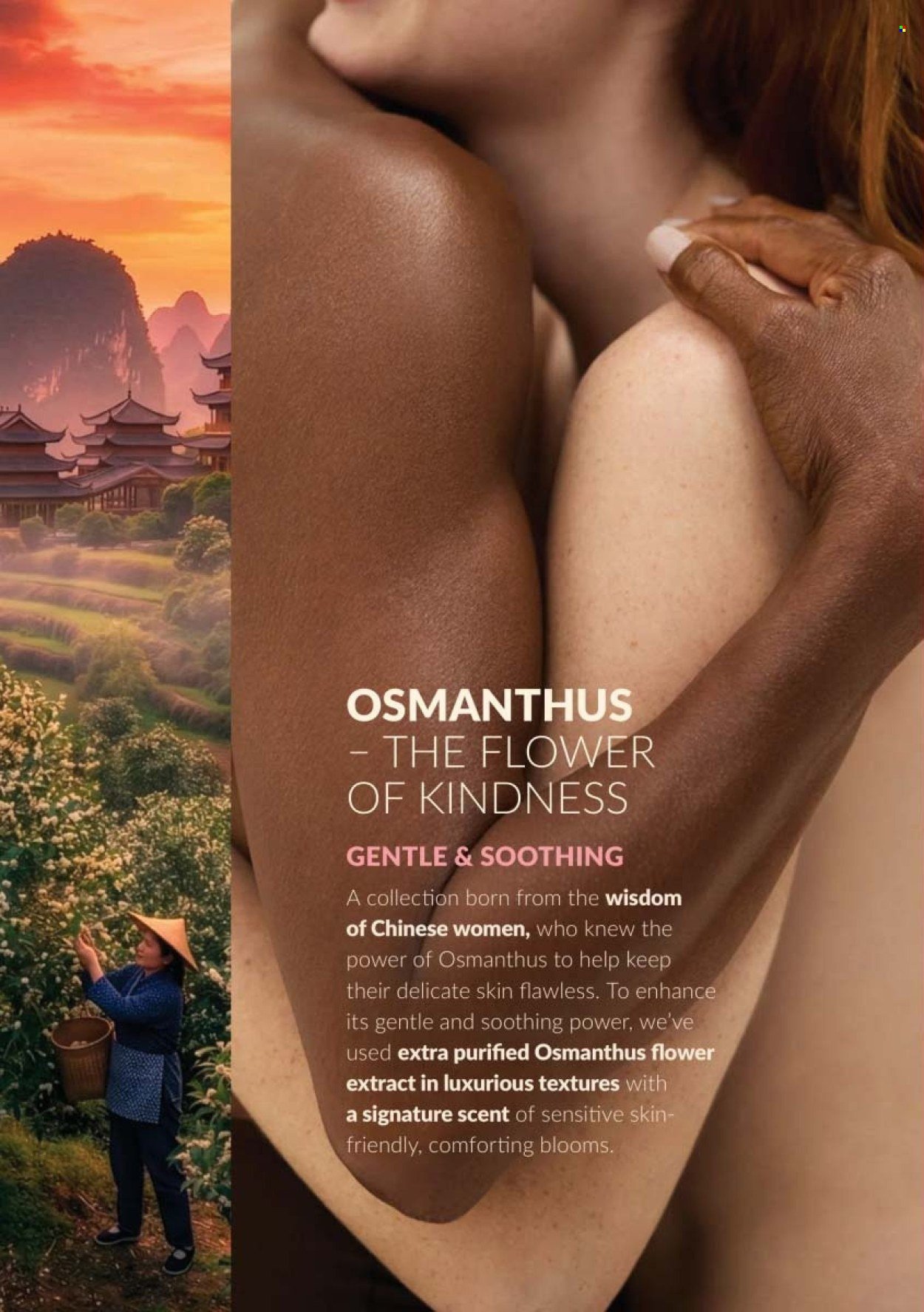 AVON offer - CAMPAIGN 10
