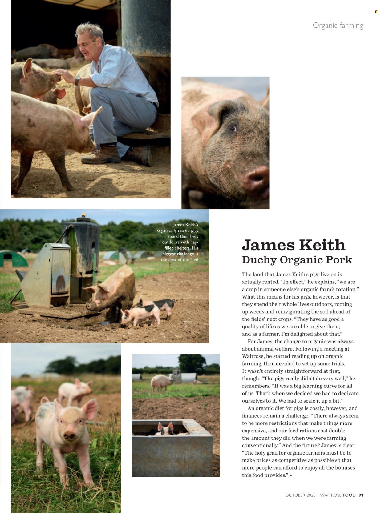 WAITROSE offer - October 2025 (2025-10-01 - 2025-10-31) | 91