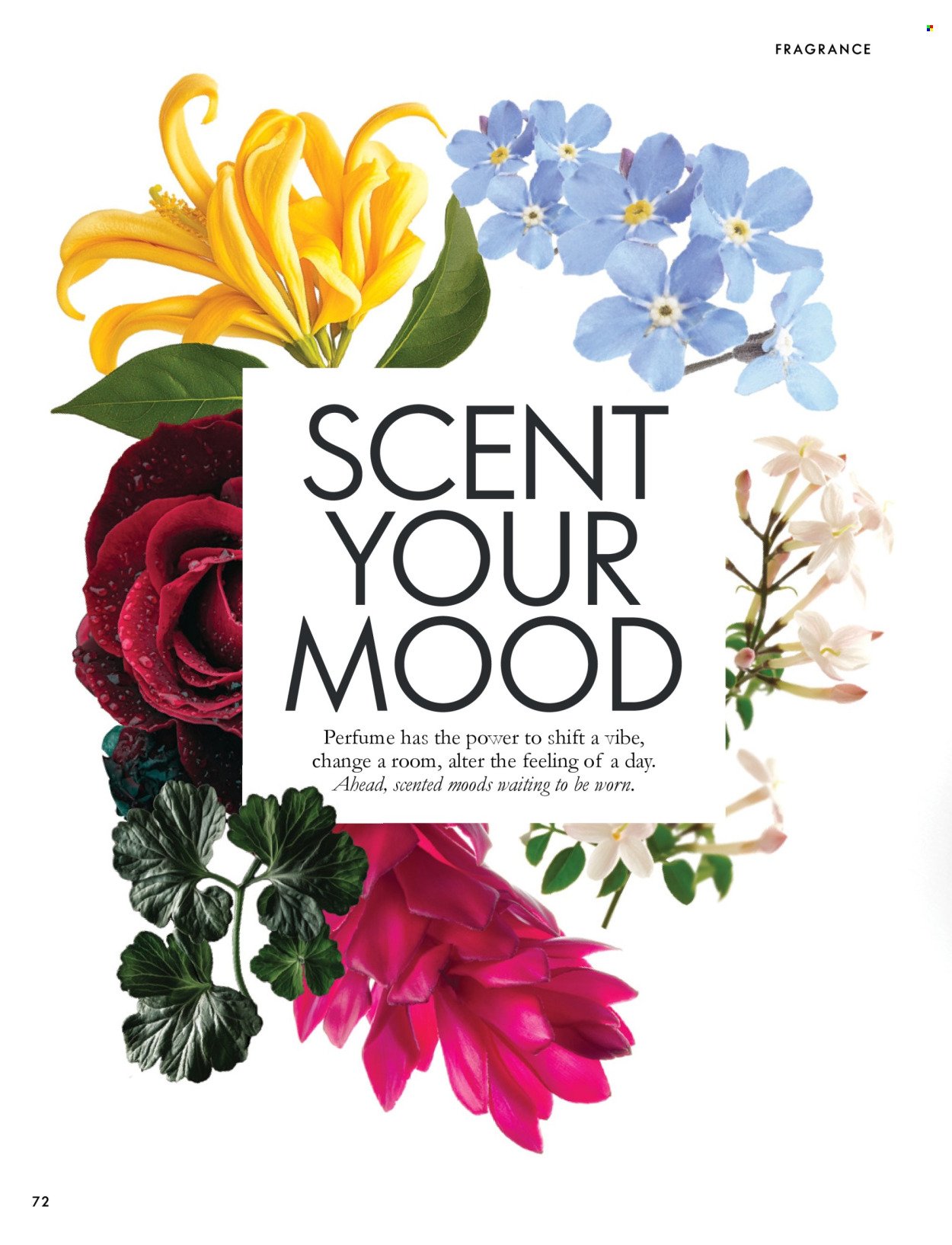 ORIFLAME offer - eCatalogue 14