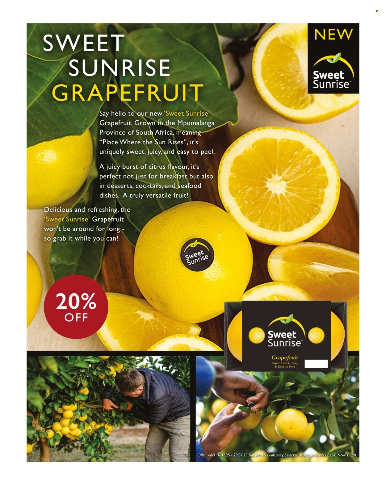 WAITROSE offer - July 2025 (2025-07-16) | 38