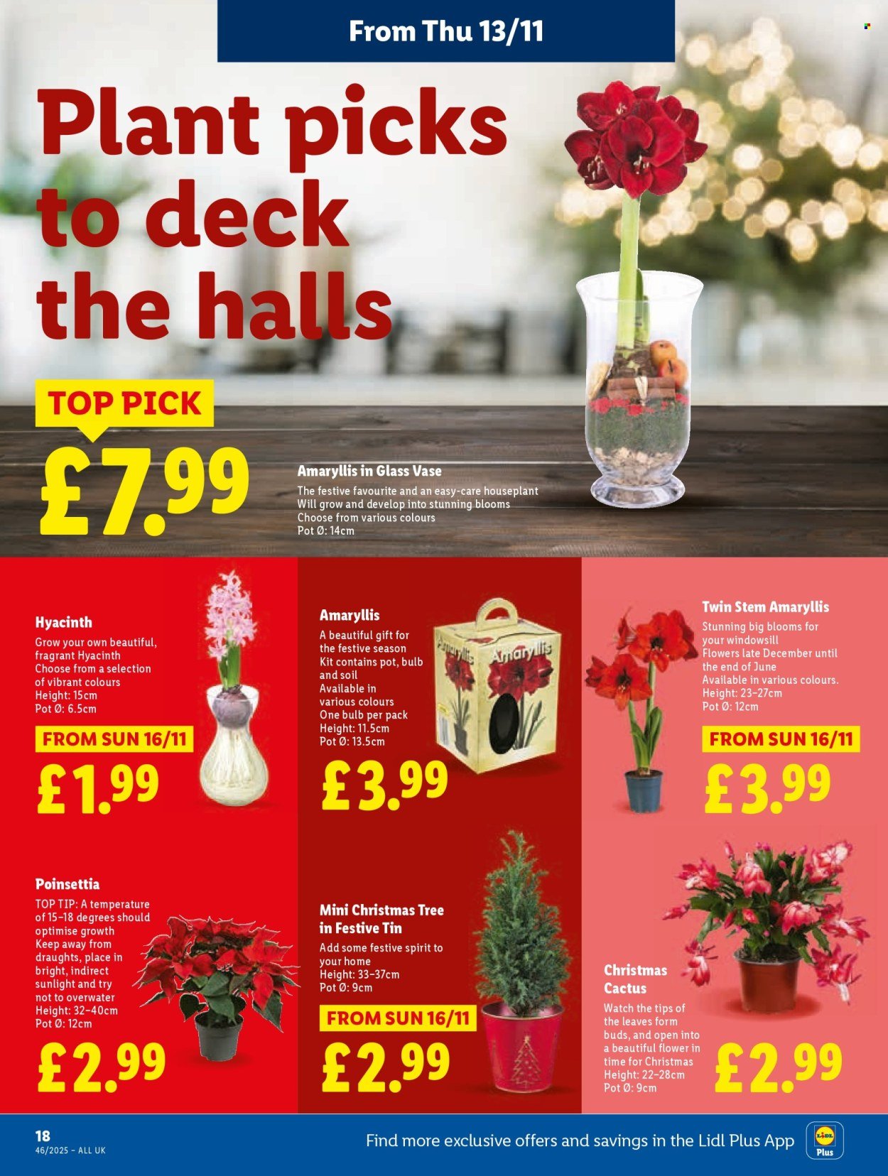 LIDL offer - Local Weekly Leaflet (2025-11-13 - 2025-11-19) | 18