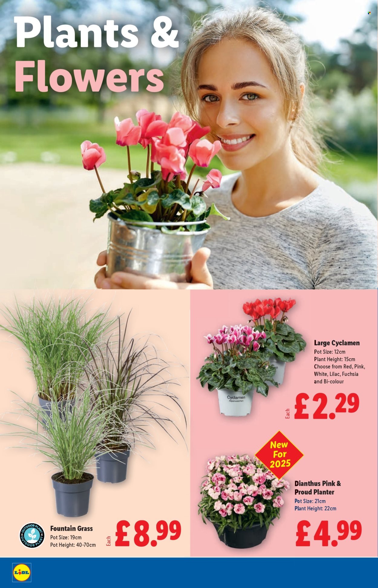 LIDL offer - August to September 2025 (2025-08-28 - 2025-09-03) | 20