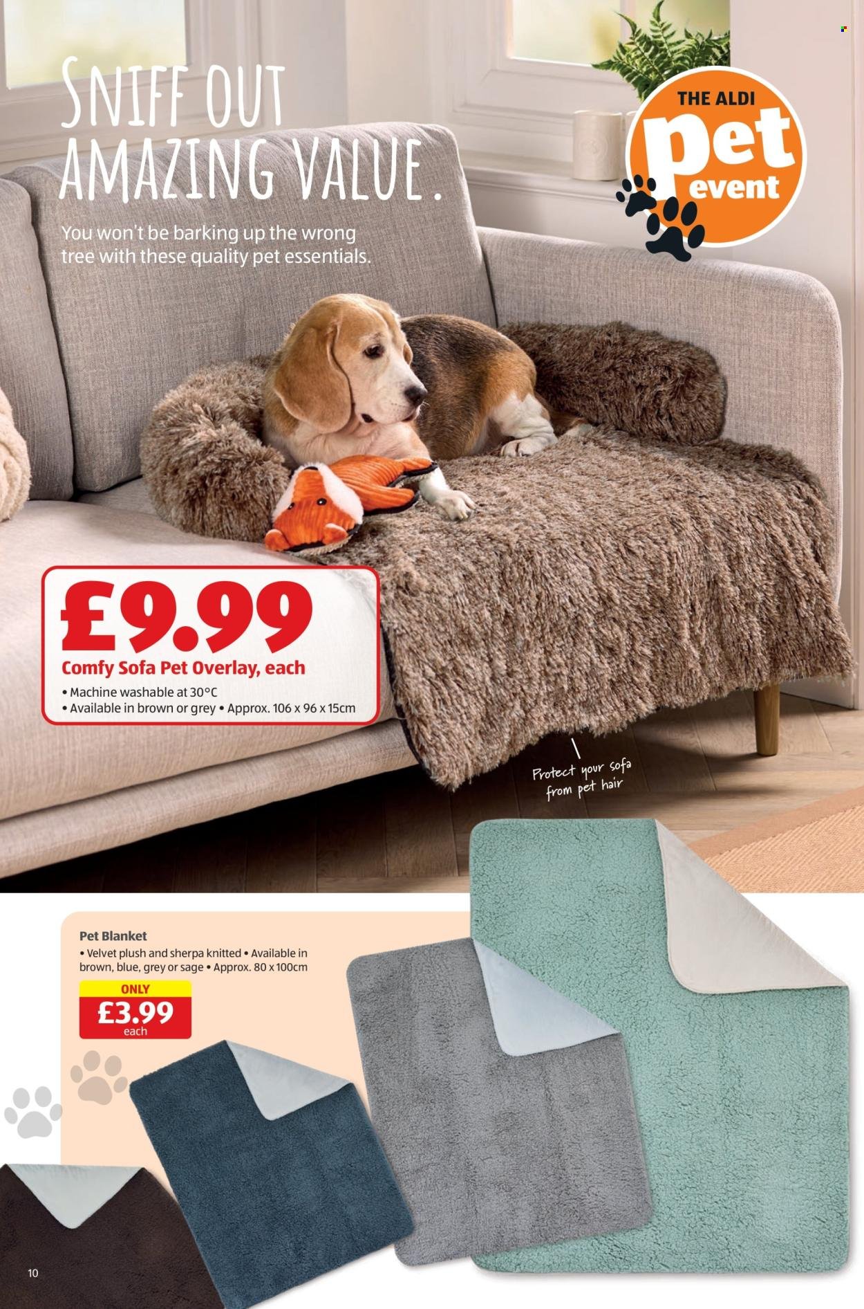 ALDI offer - From 19 Feb 2026 (2026-02-19 - 2026-02-25) | 10