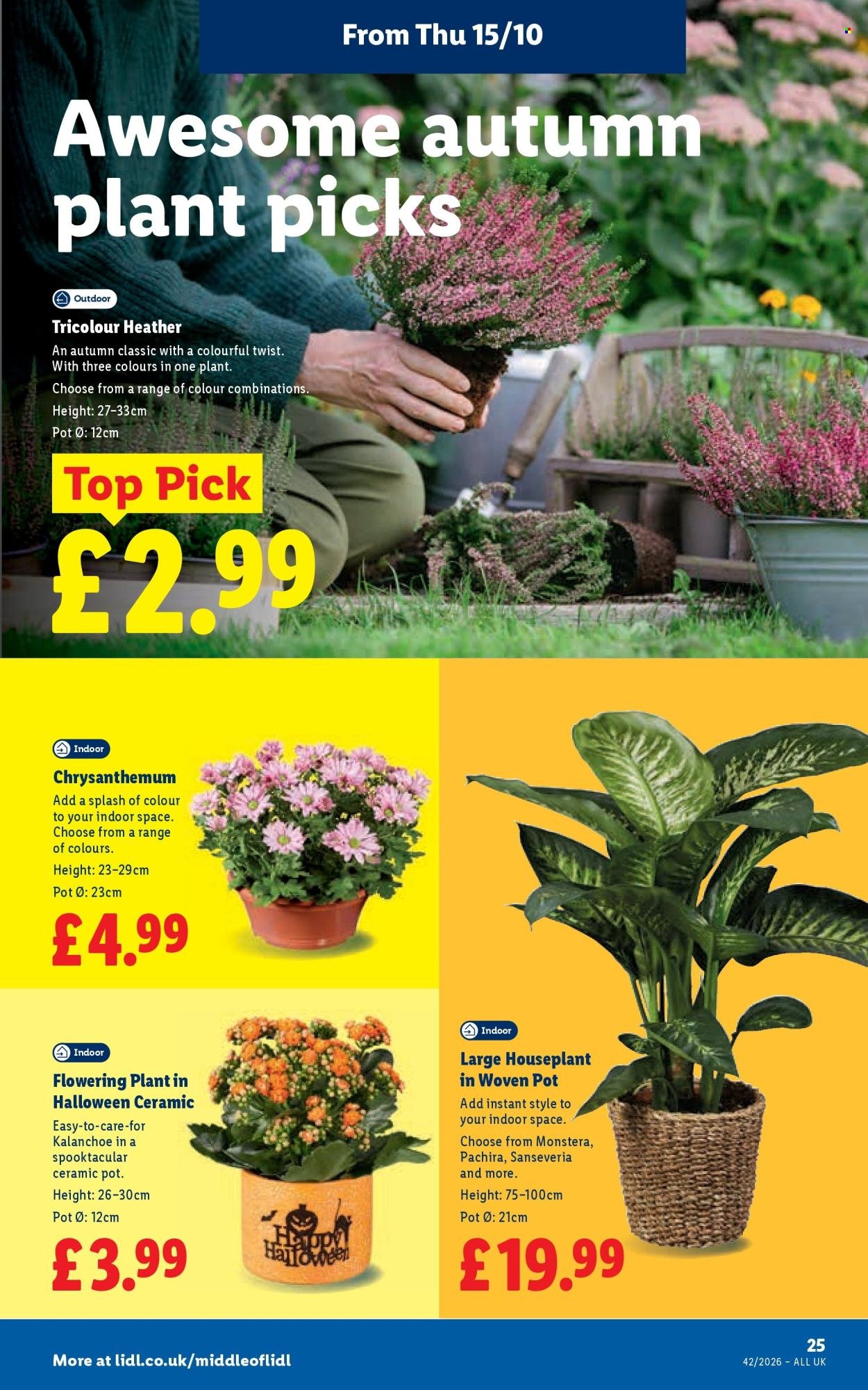 LIDL offer - Local Weekly Leaflet