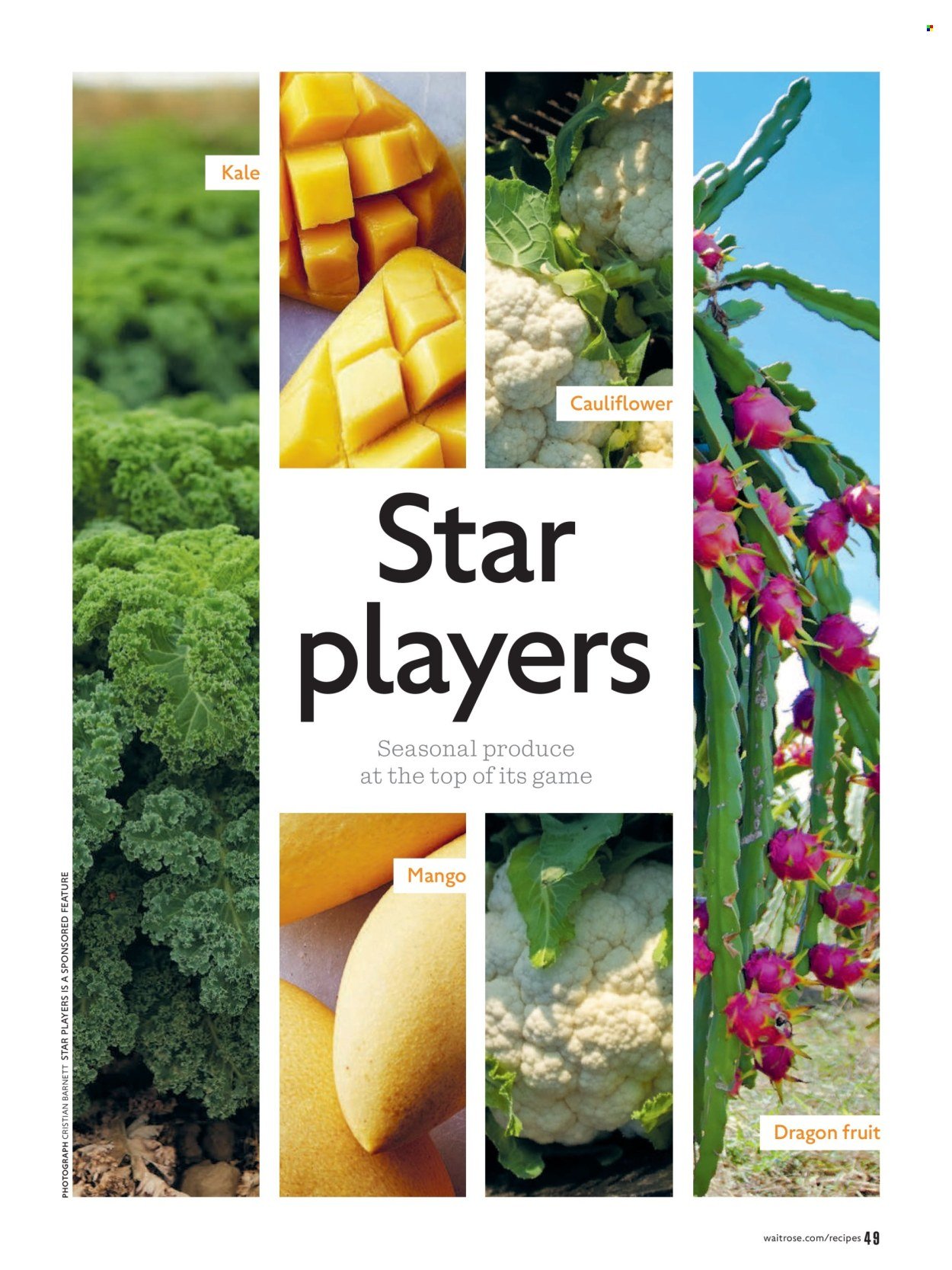 WAITROSE offer - February 2026 (2026-02-01 - 2026-02-28) | 49