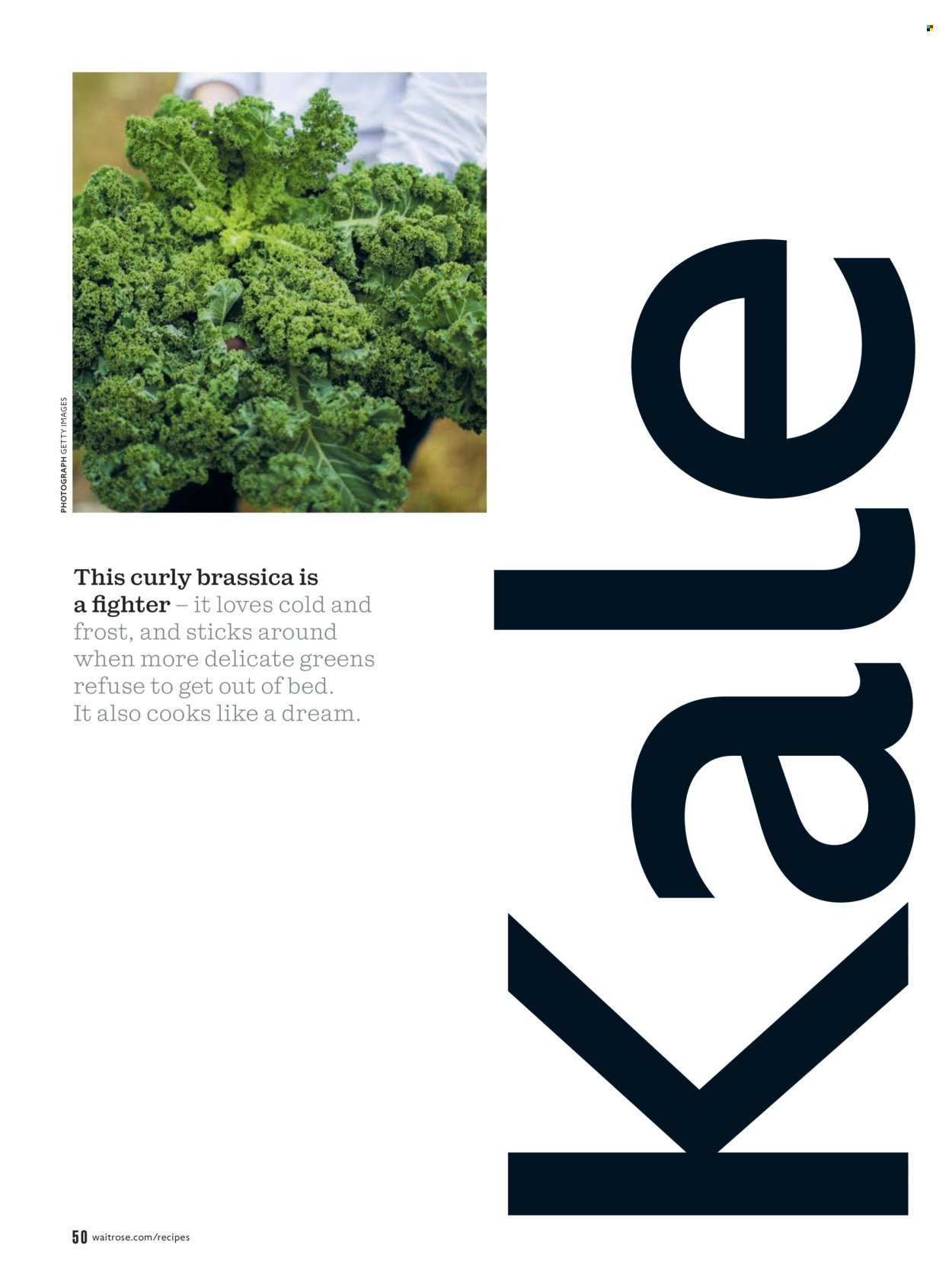 WAITROSE offer - February 2026 (2026-02-01 - 2026-02-28) | 50