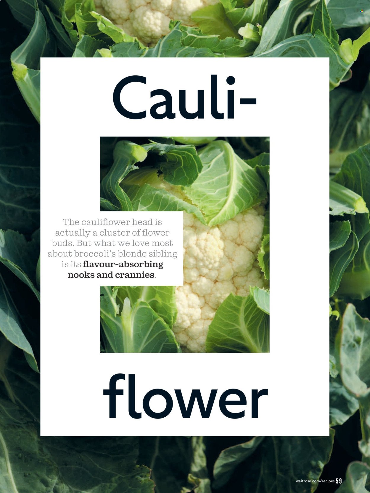 WAITROSE offer - February 2026 (2026-02-01 - 2026-02-28) | 59