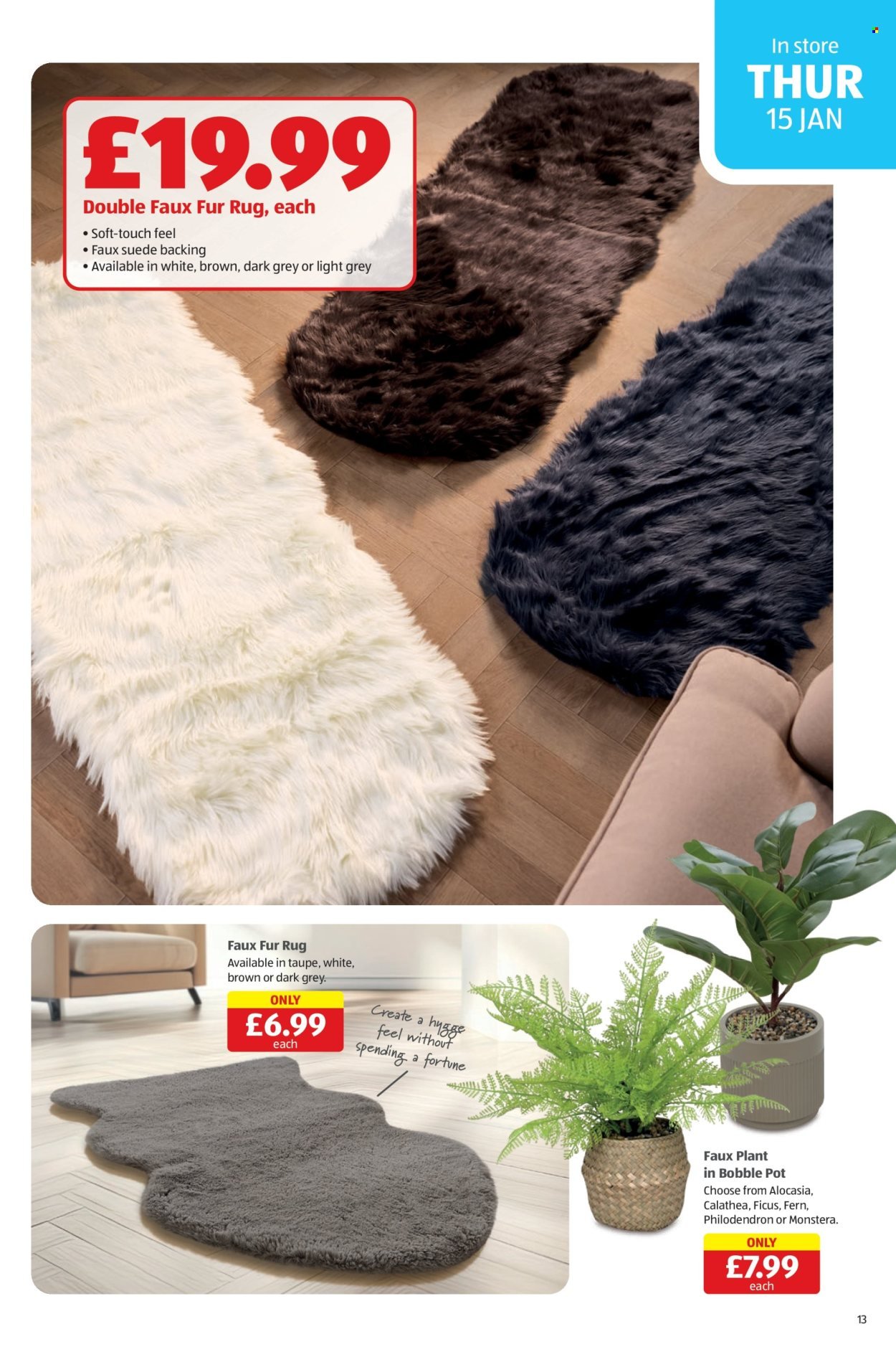 ALDI offer - From 15 Jan 2026 (2026-01-15 - 2026-01-21) | 13