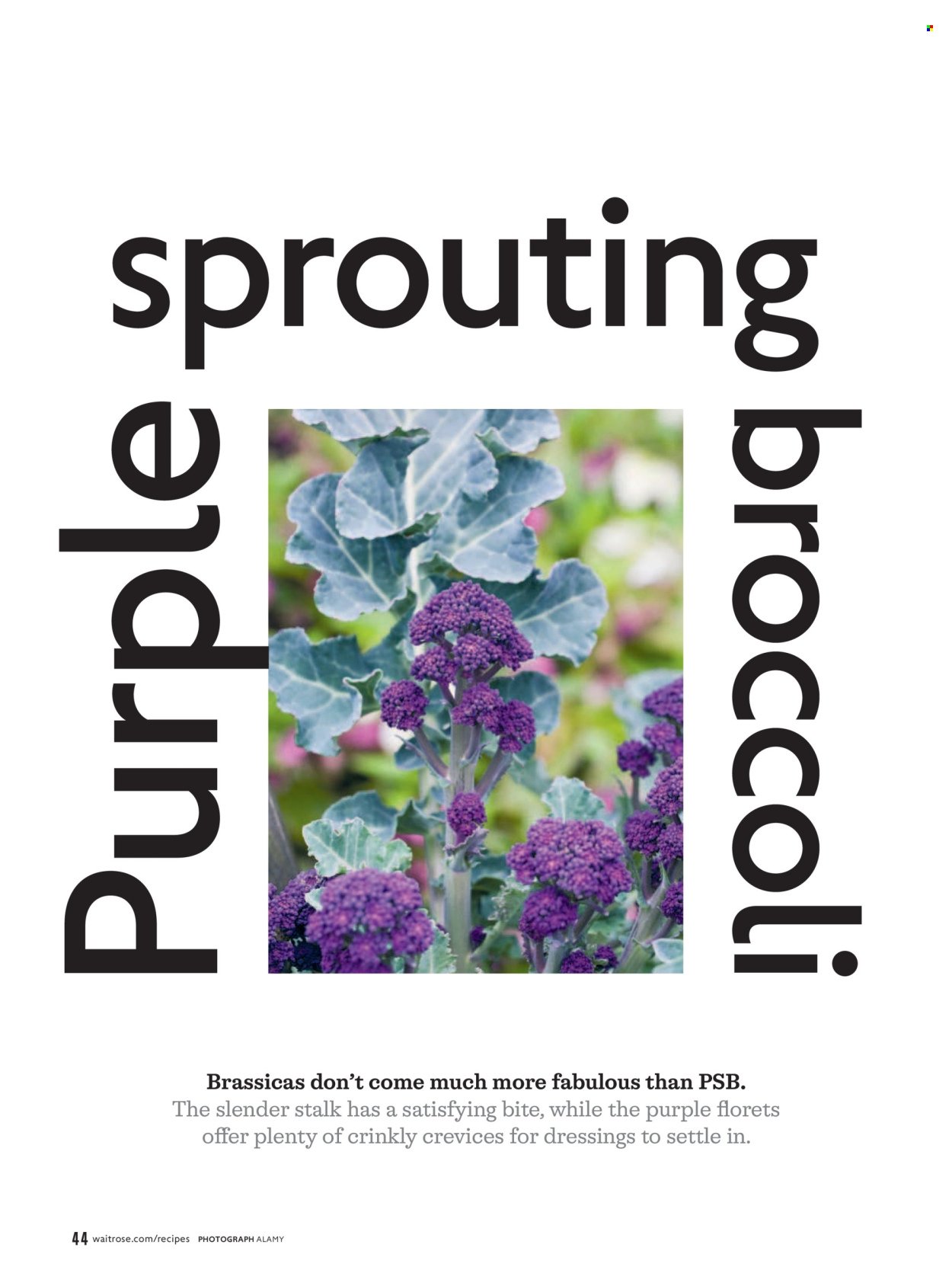 WAITROSE offer - April 2026 (2026-04-01 - 2026-04-30) | 44