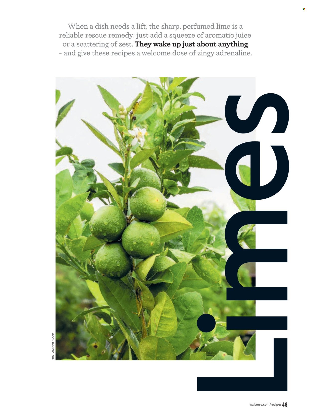 WAITROSE offer - April 2026 (2026-04-01 - 2026-04-30) | 49