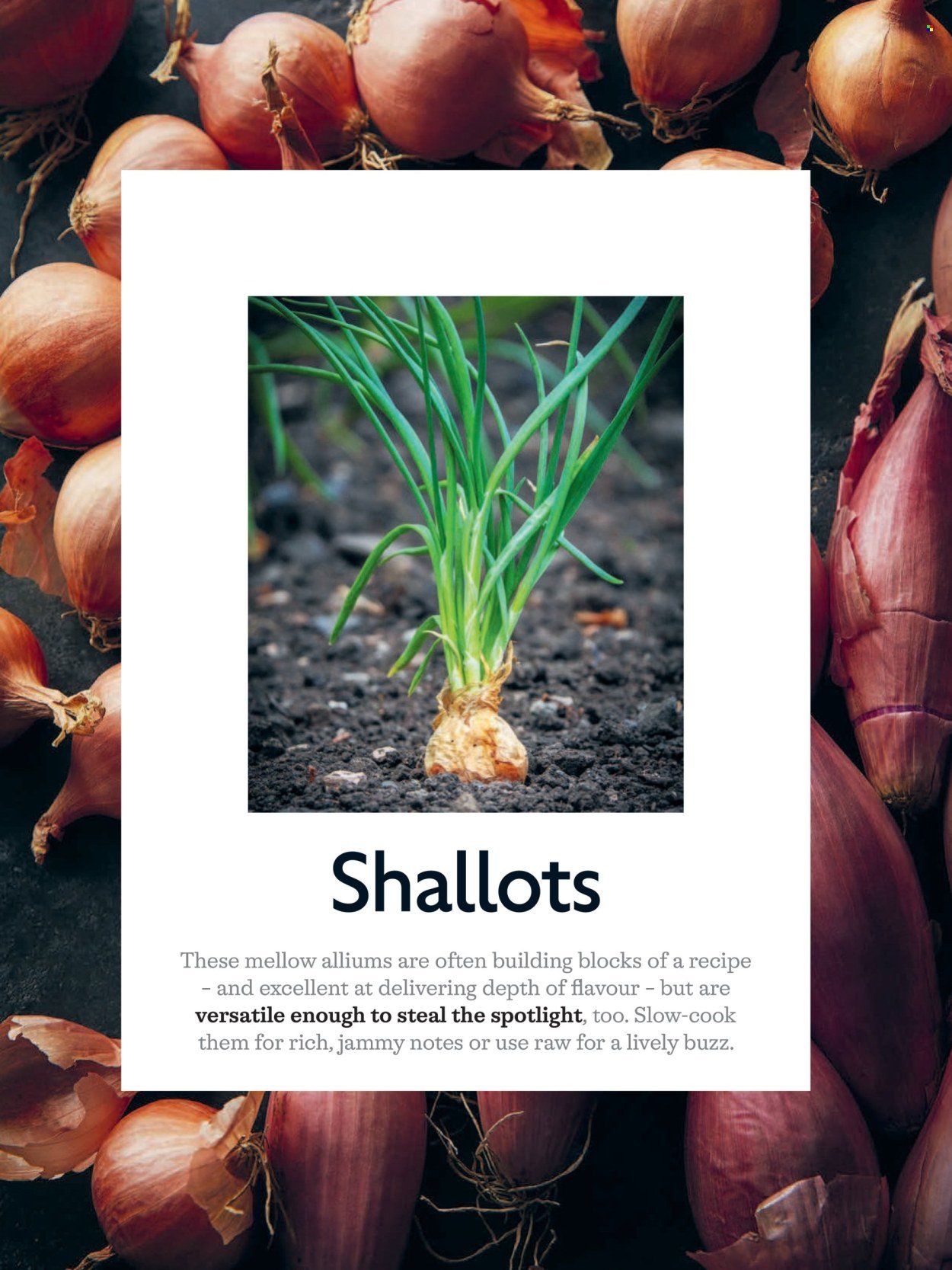 WAITROSE offer - April 2026 (2026-04-01 - 2026-04-30) | 52