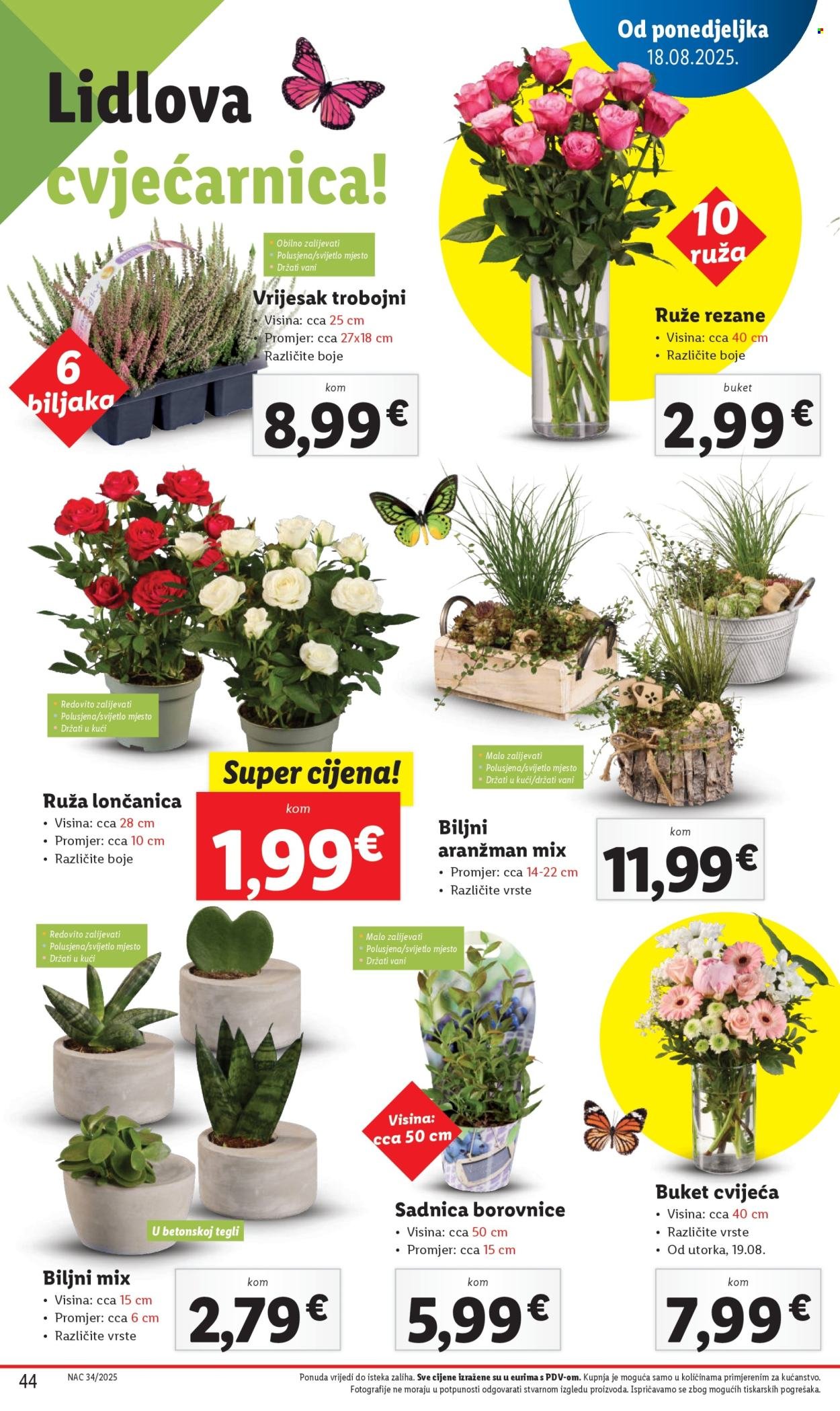 LIDL katalog - Od ponedeljka 18.08.2025.
