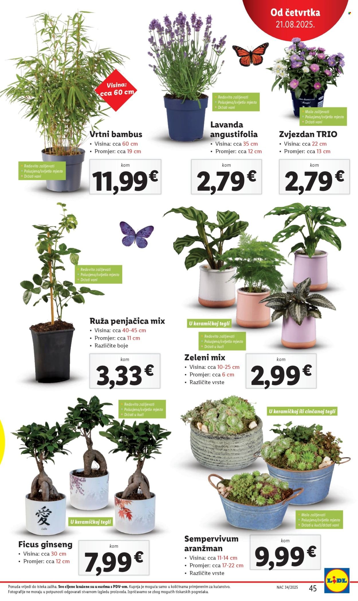 LIDL katalog - Od ponedeljka 18.08.2025.