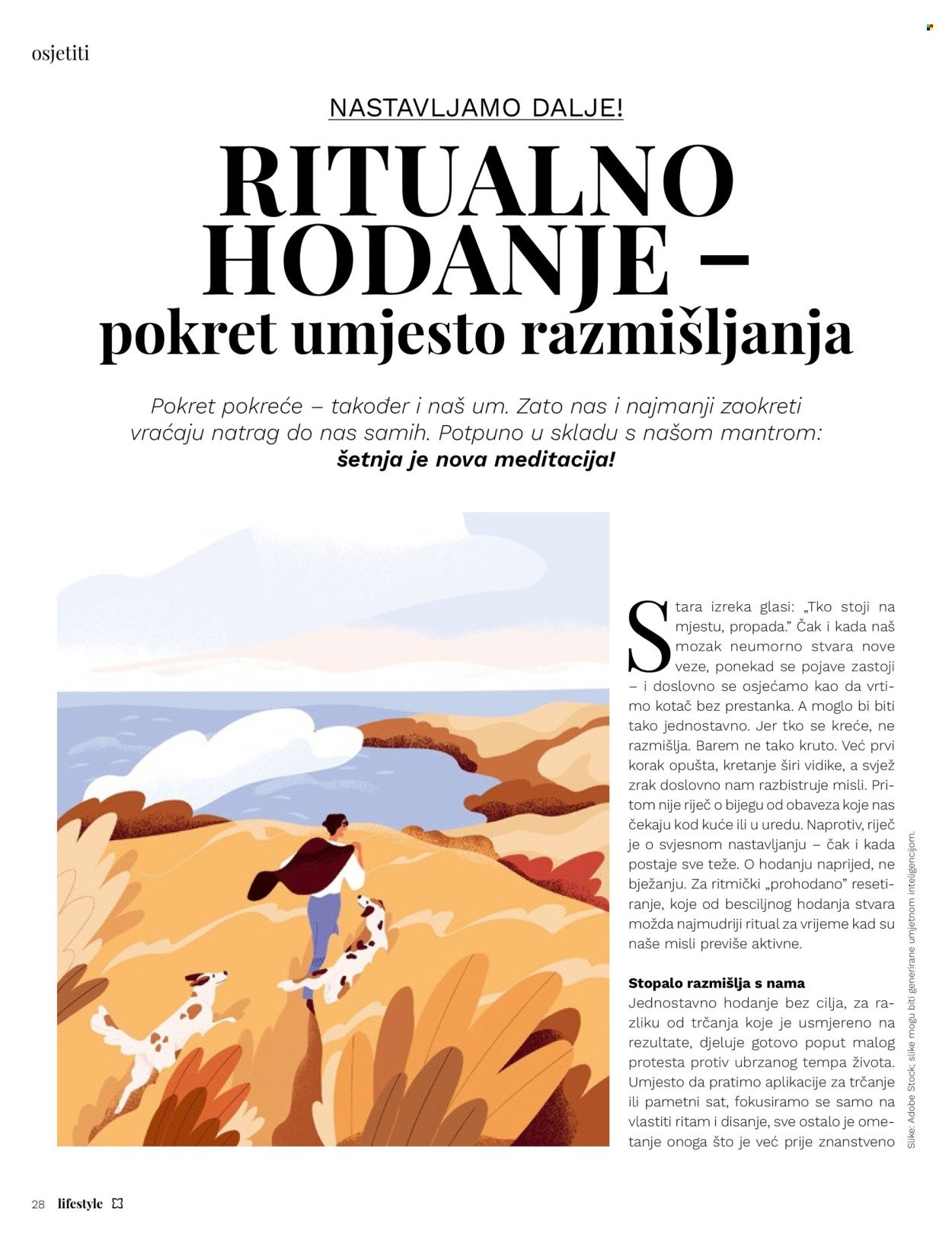 MÜLLER katalog - Lipanj 2026