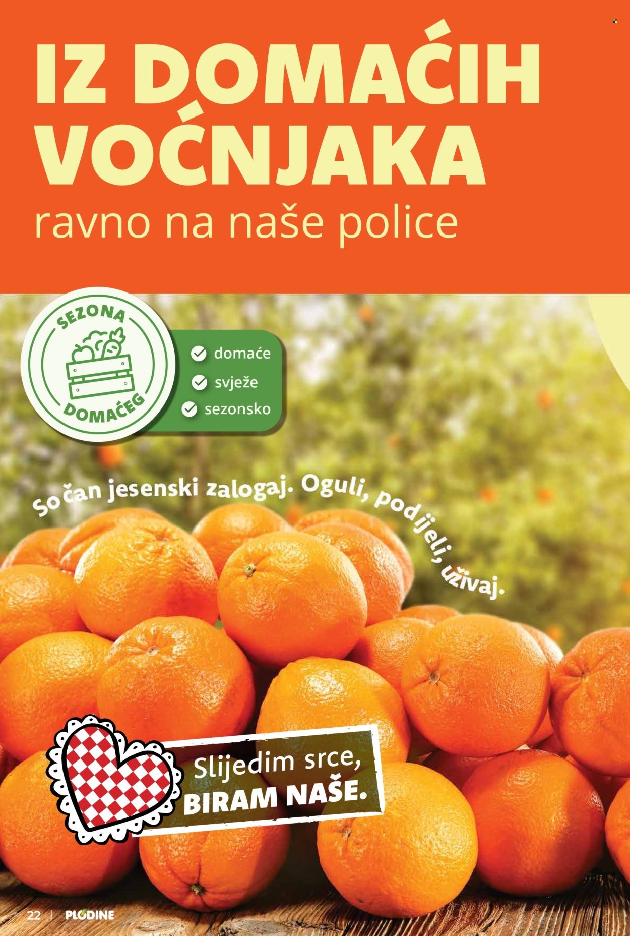 PLODINE katalog - Od srijede 07.10.2026.