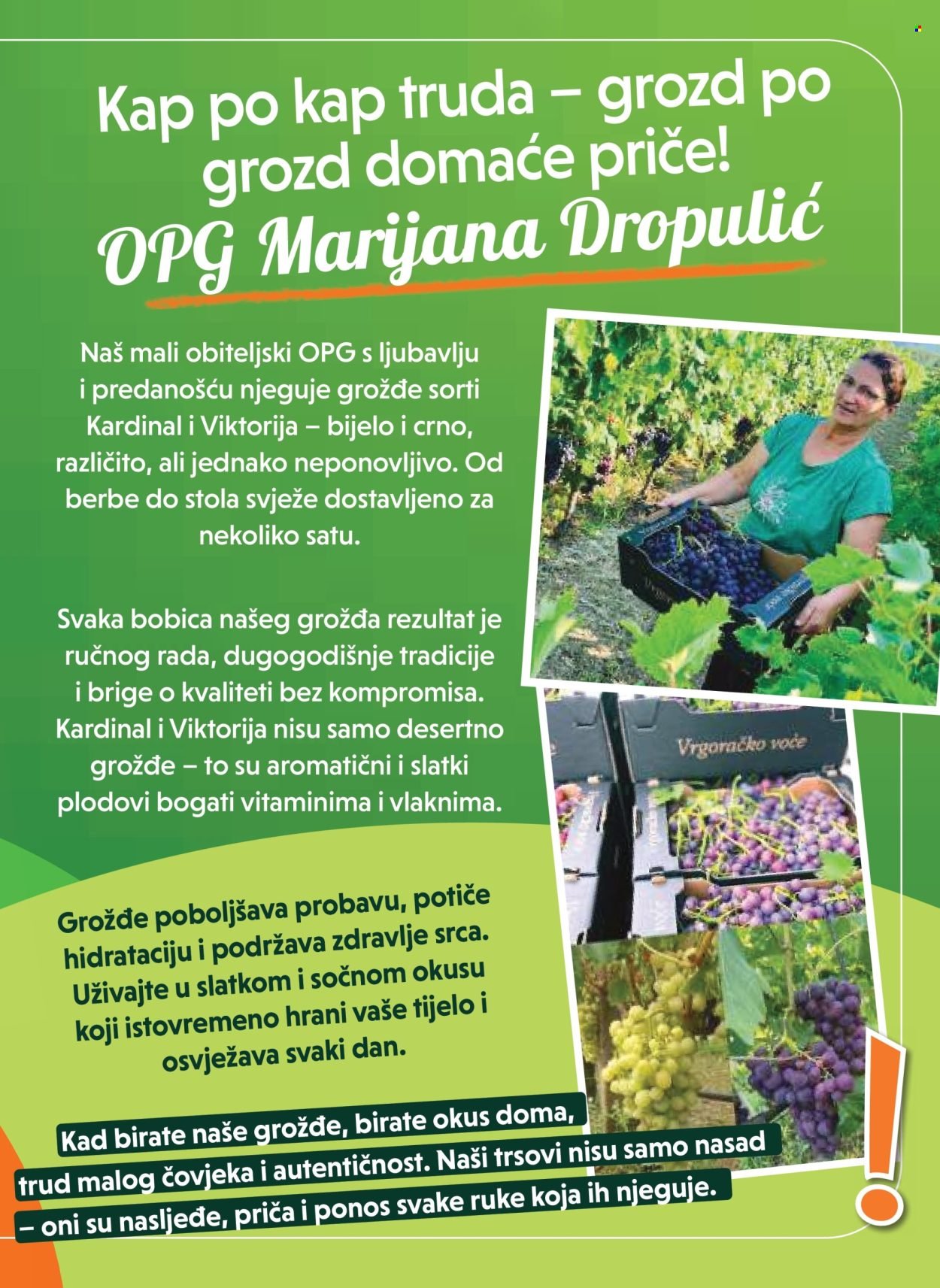 STUDENAC katalog - Od srijede 13.08.2025.