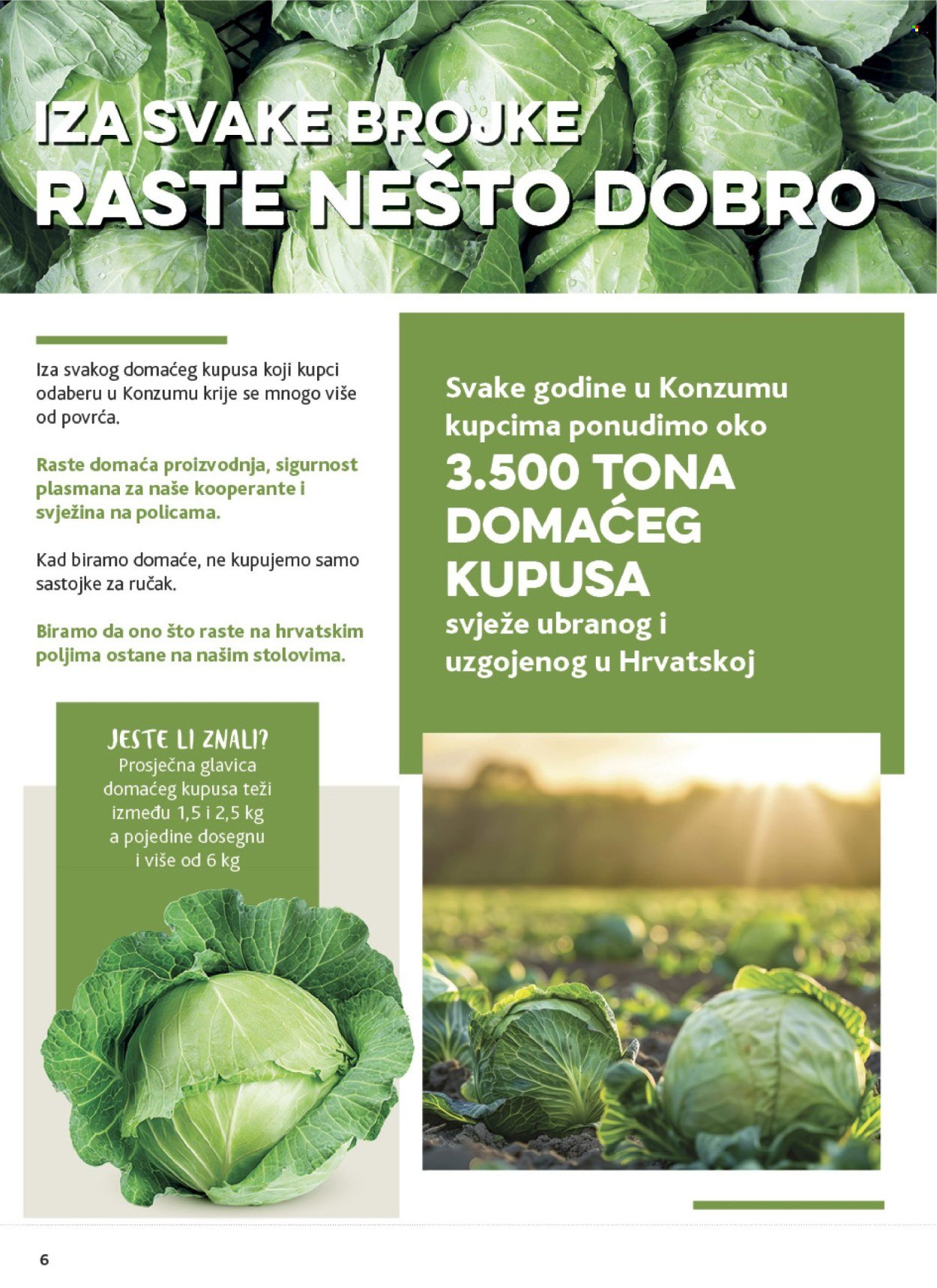 KONZUM katalog - Od srijede 28.10.2026.