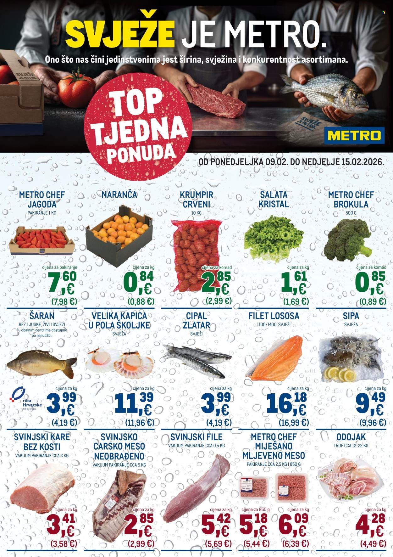 METRO katalog - Top tjedna ponuda