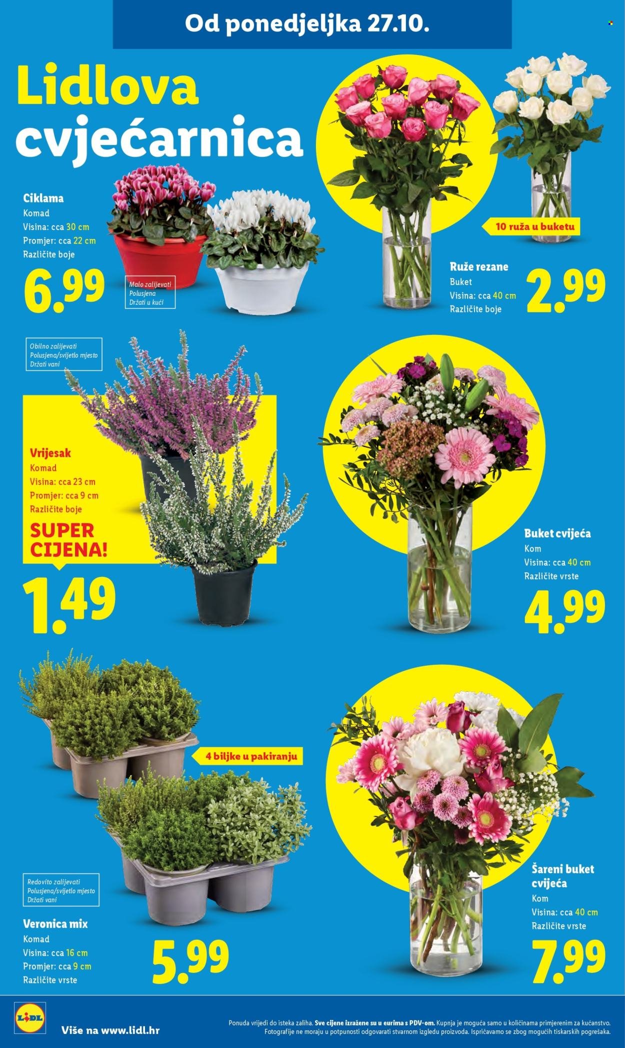 LIDL katalog - Od ponedeljka 27.10.2025.