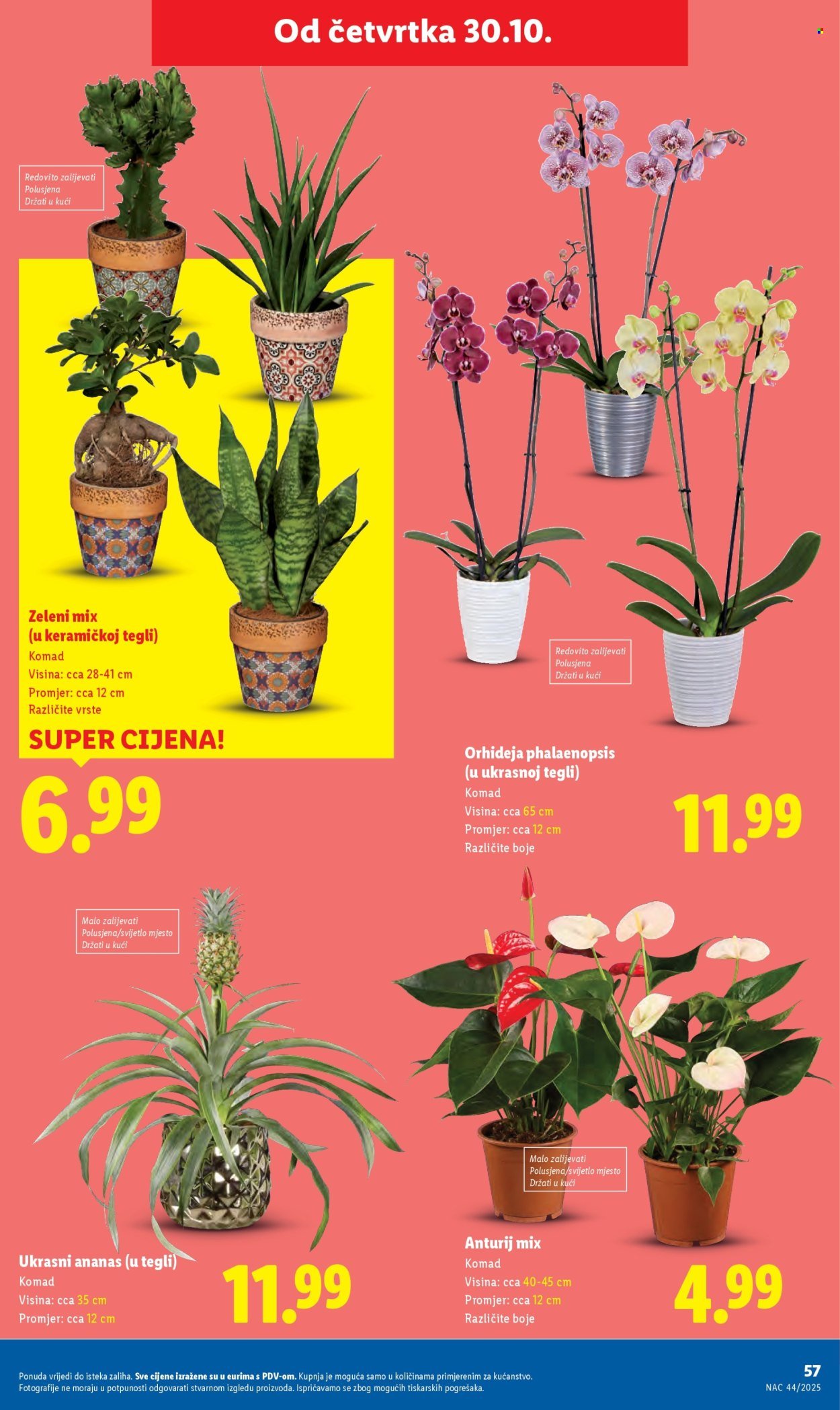 LIDL katalog - Od ponedeljka 27.10.2025.