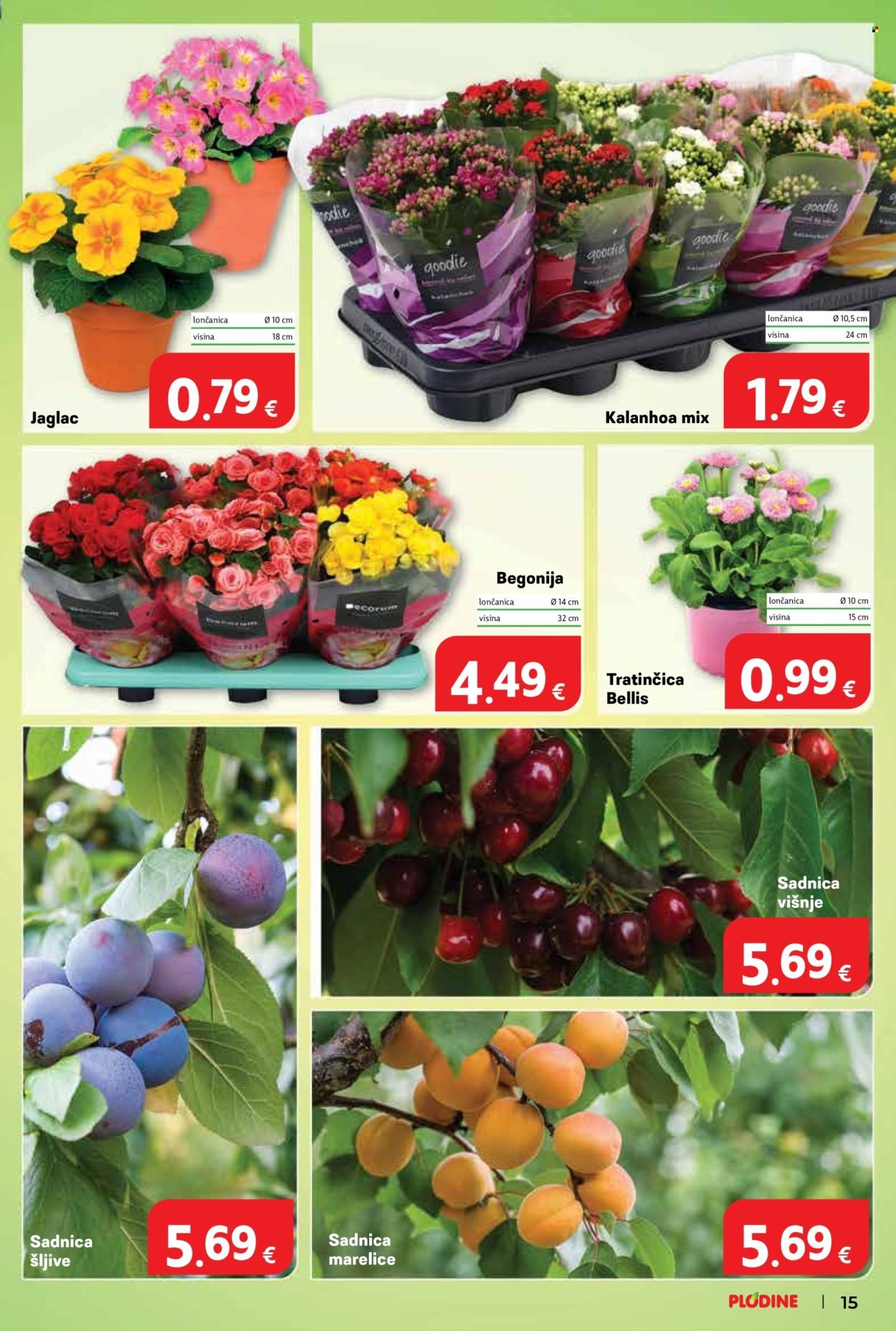 PLODINE katalog - Od srijede 04.02.2026.