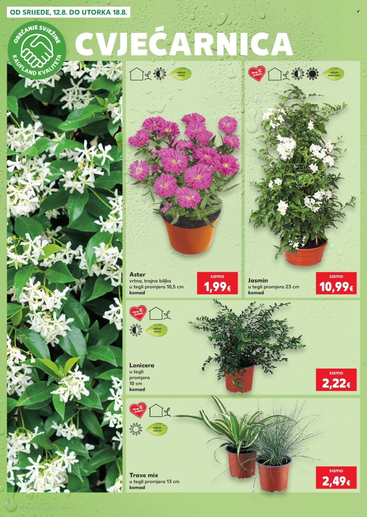KAUFLAND katalog - Od srijede 12.08.2026.