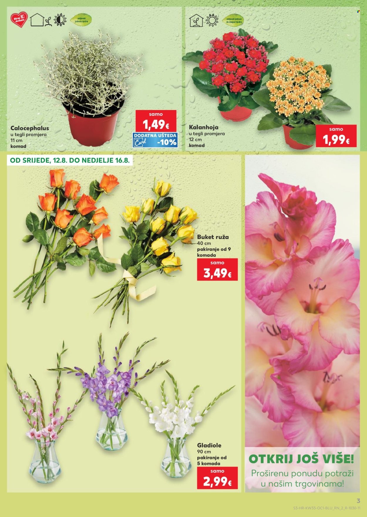 KAUFLAND katalog - Od srijede 12.08.2026.