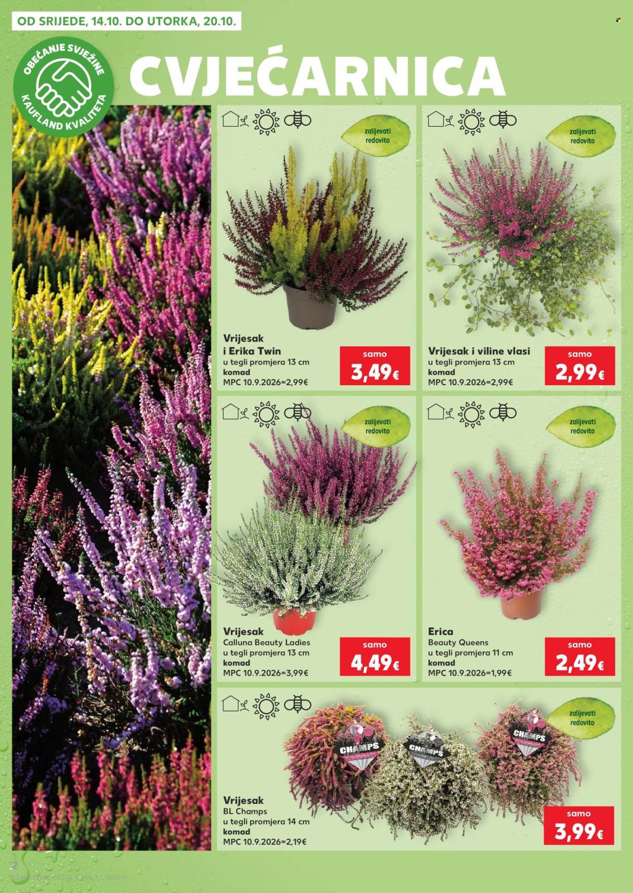 KAUFLAND katalog - Od srijede 14.10.2026.