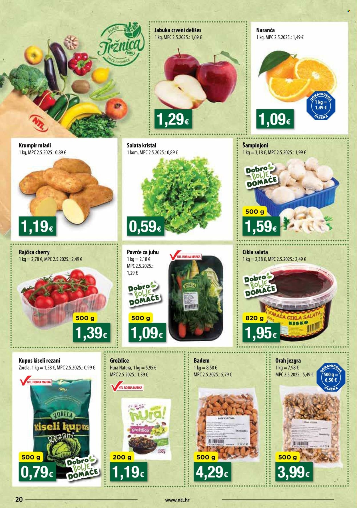 NTL katalog - Od srijede 17.12.2025.