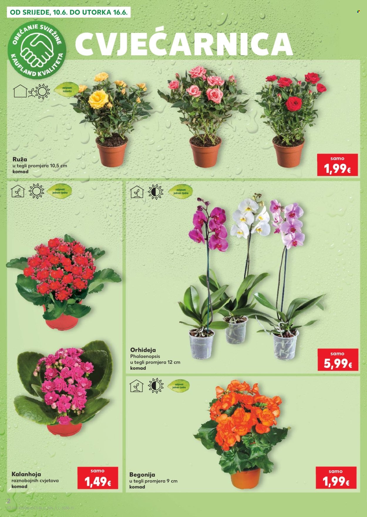 KAUFLAND katalog - Ty si naš broj 1