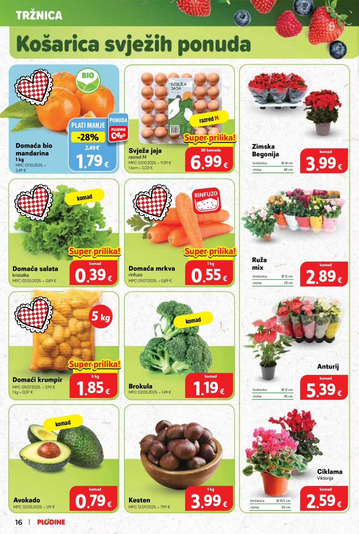 PLODINE katalog - Od srijede 29.10.2025.