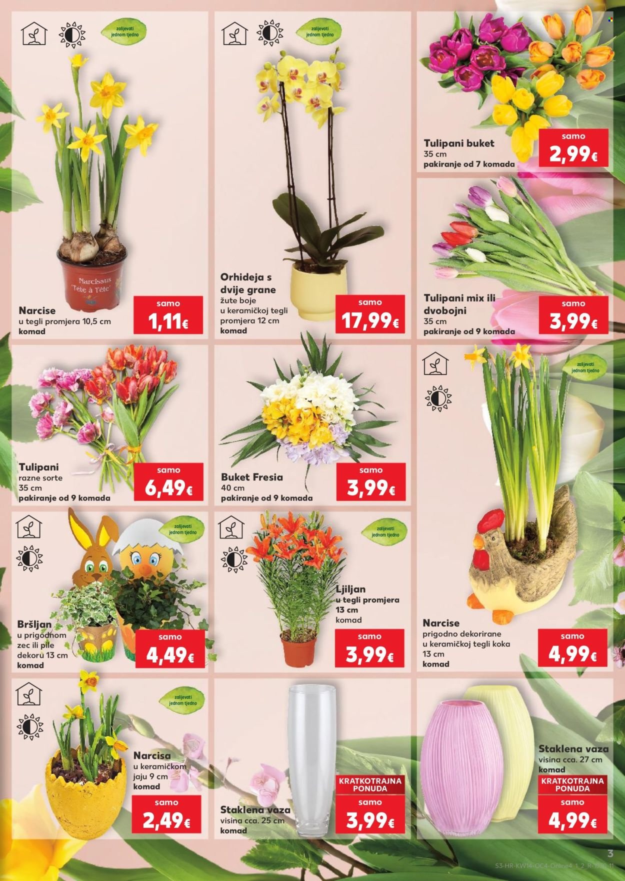 KAUFLAND katalog - Od utorka 31.03.2026.