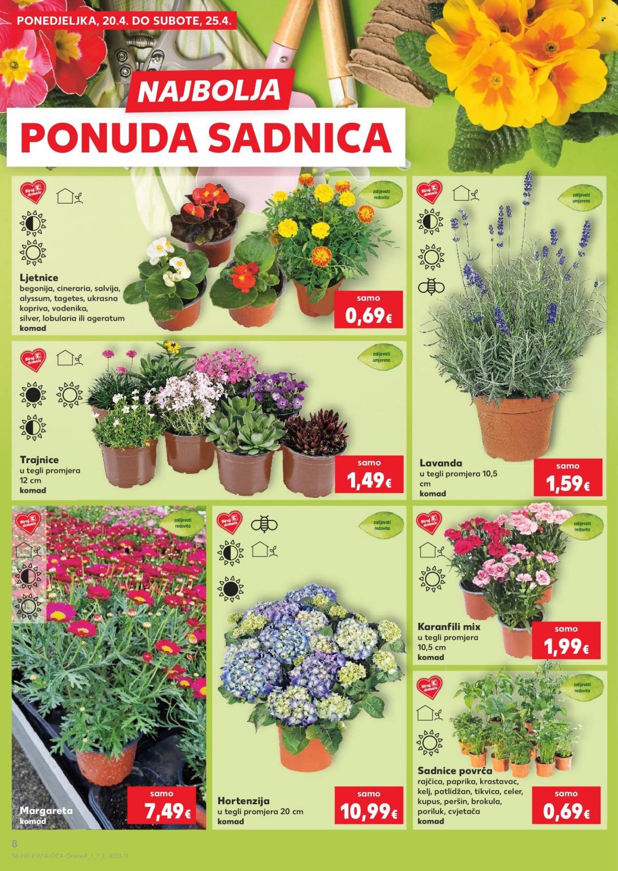 KAUFLAND katalog - Od utorka 31.03.2026.