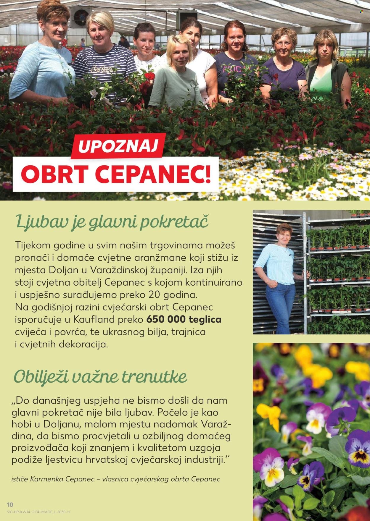 KAUFLAND katalog - Od utorka 31.03.2026.