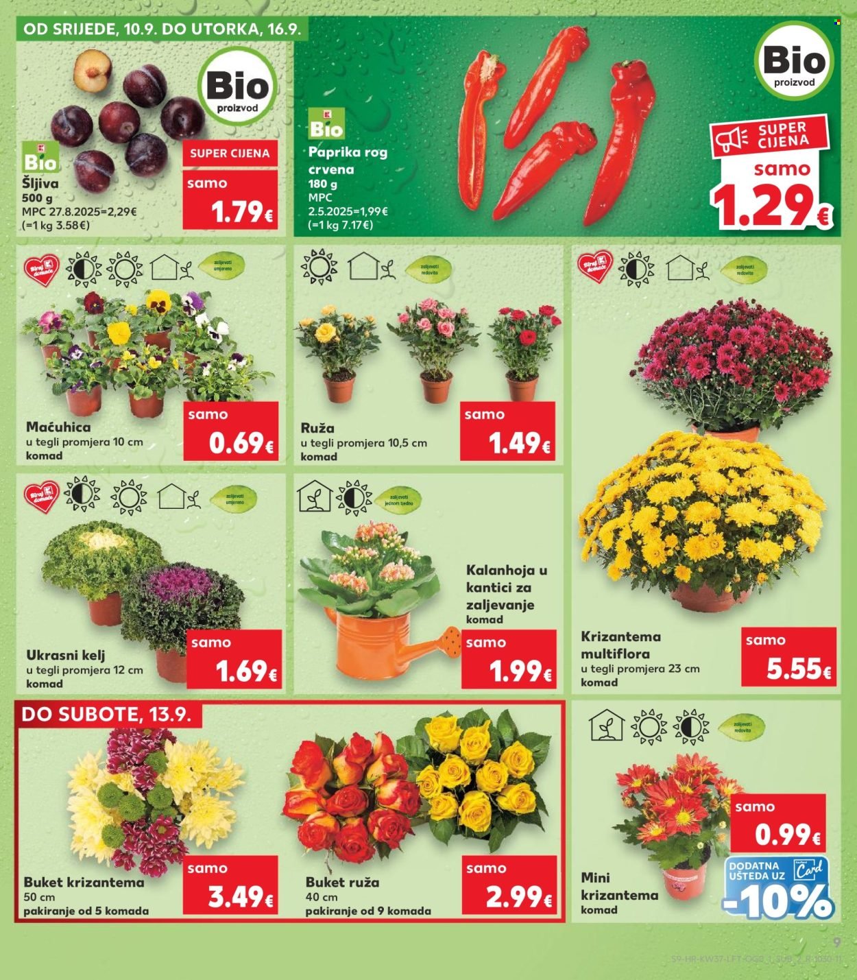 KAUFLAND katalog - Od srijede 10.09.2025.