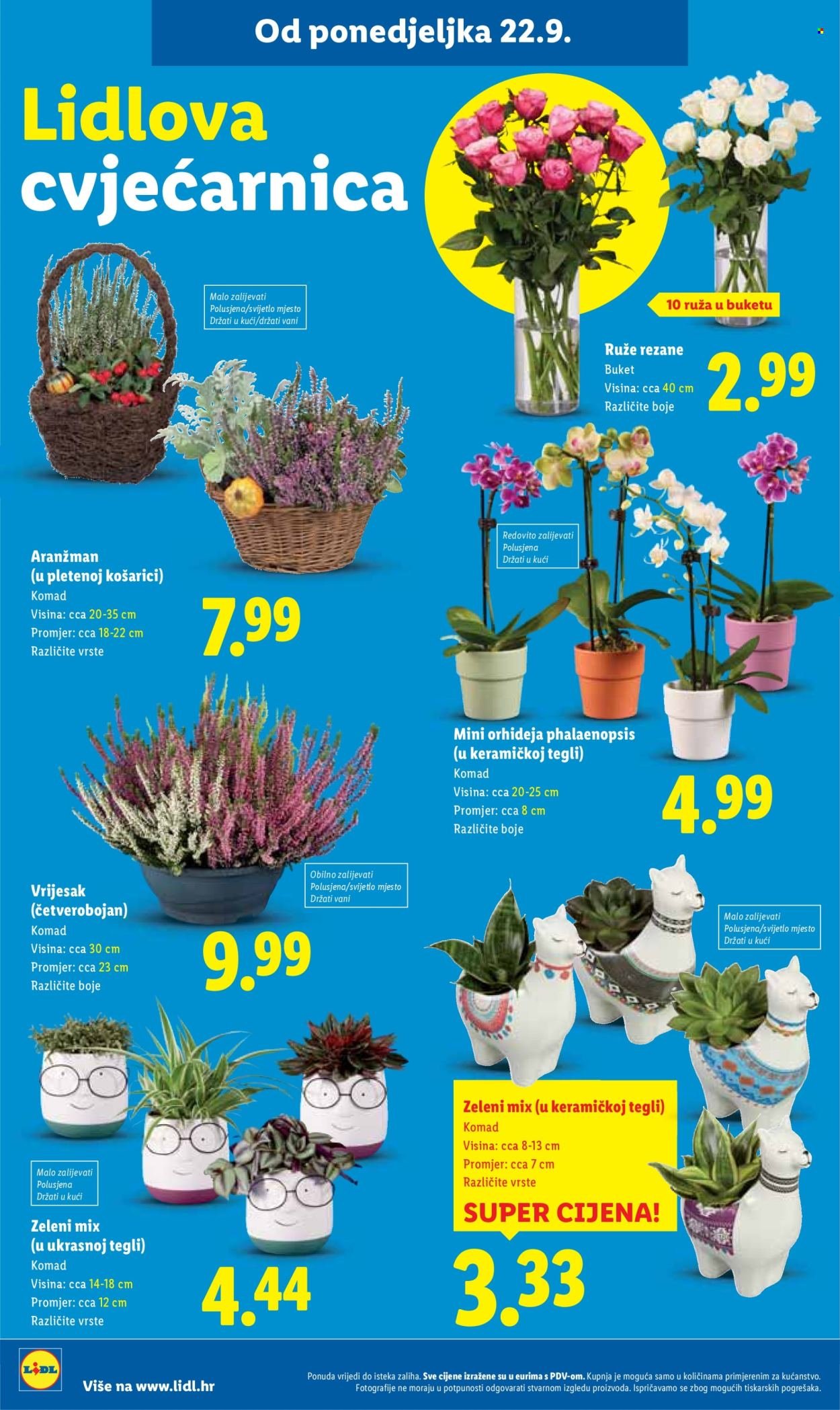 LIDL katalog - Od četvrtka 25.09.2025.