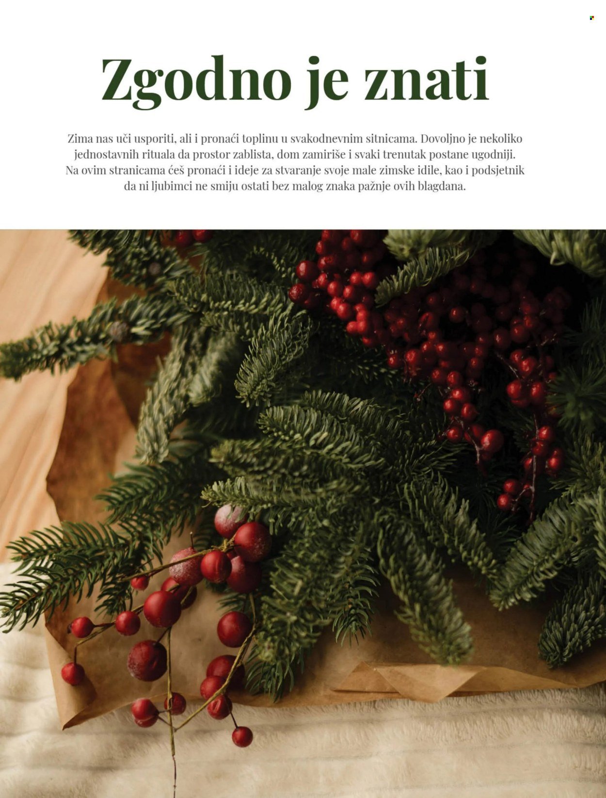 BIPA katalog - Prosinac 2025