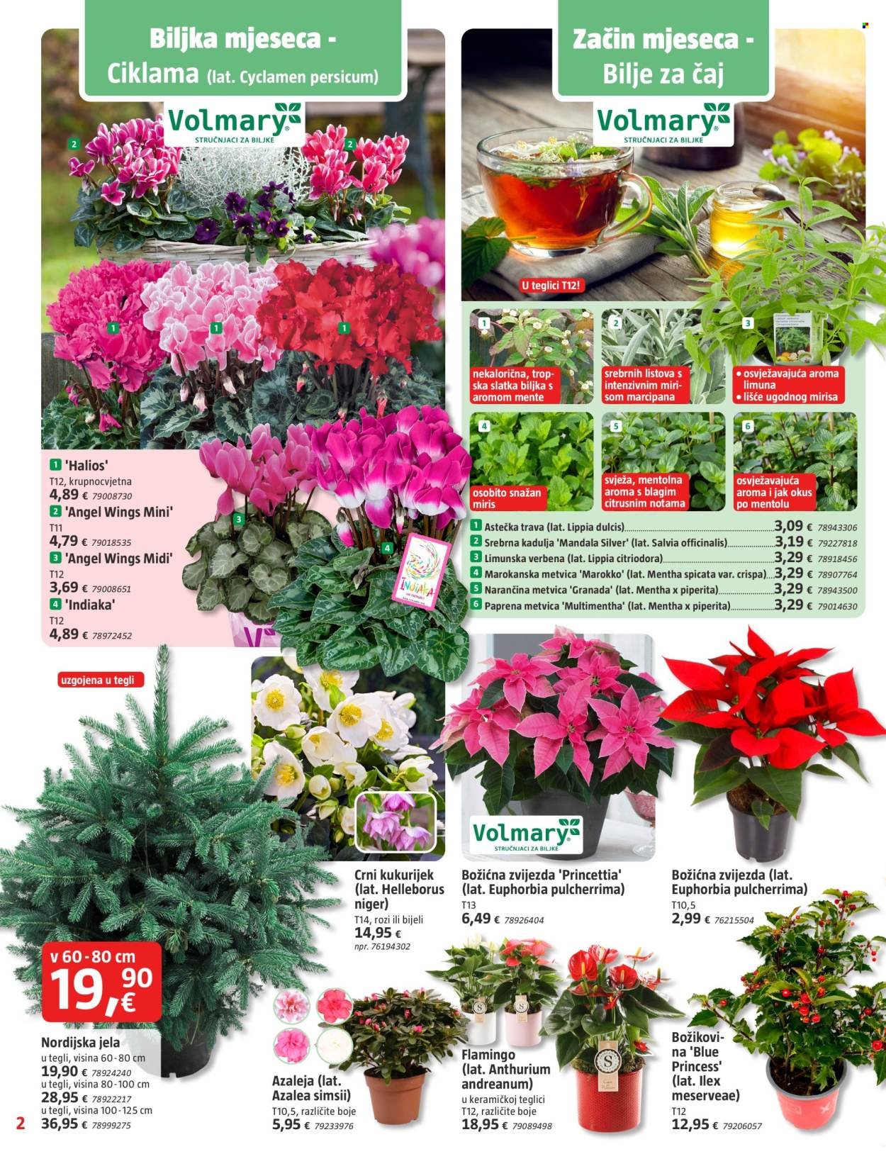 BAUHAUS katalog - Aktualni letak Studeni 2025