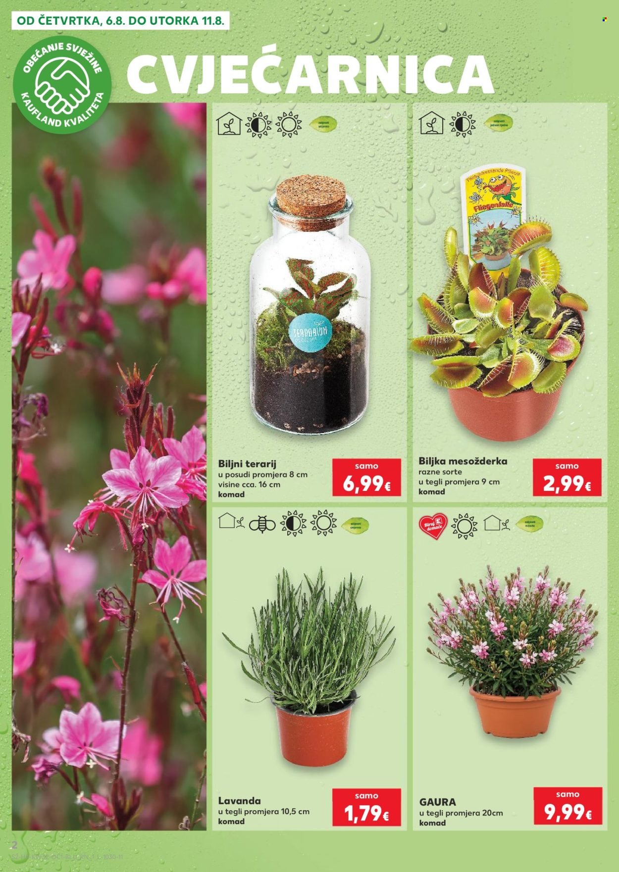 KAUFLAND katalog - Od četvrtka 06.08.2026.