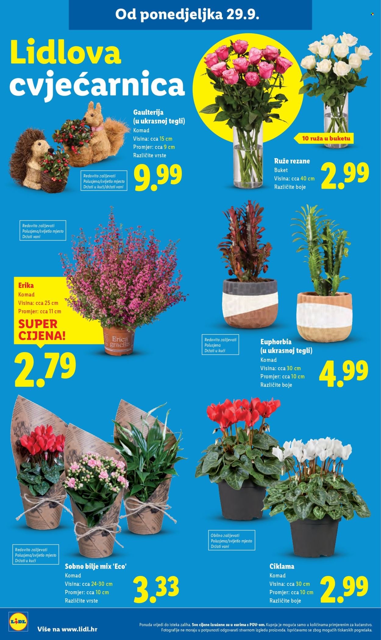 LIDL katalog - Od četvrtka 02.10.2025.