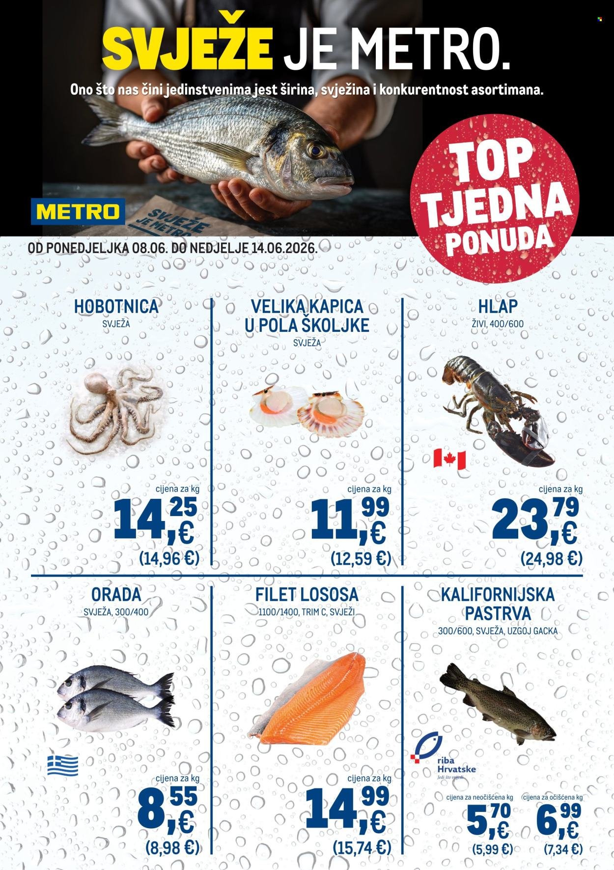 METRO katalog - Top tjedna ponuda