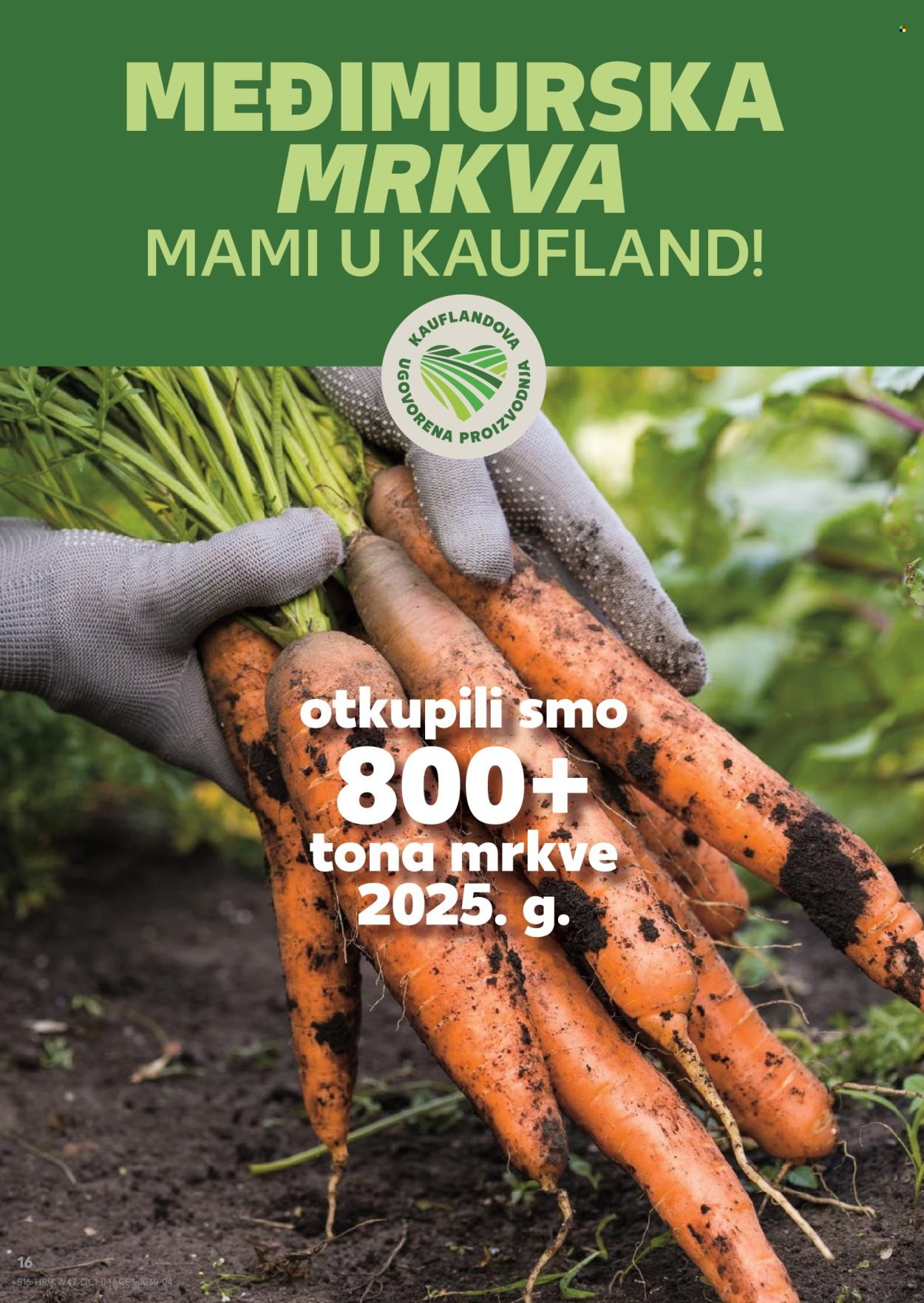 KAUFLAND katalog - Od srijede 19.11.2025.