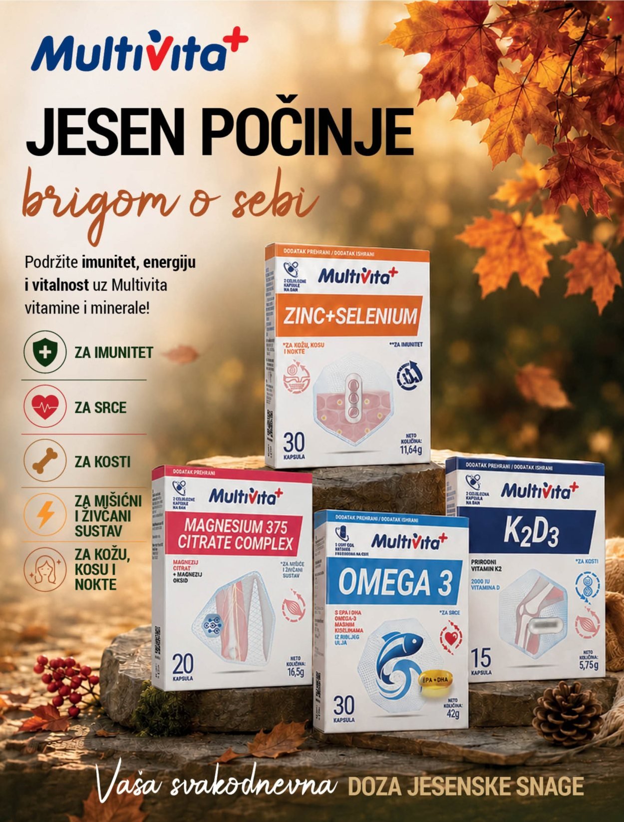 BIPA katalog - Rujan 2026