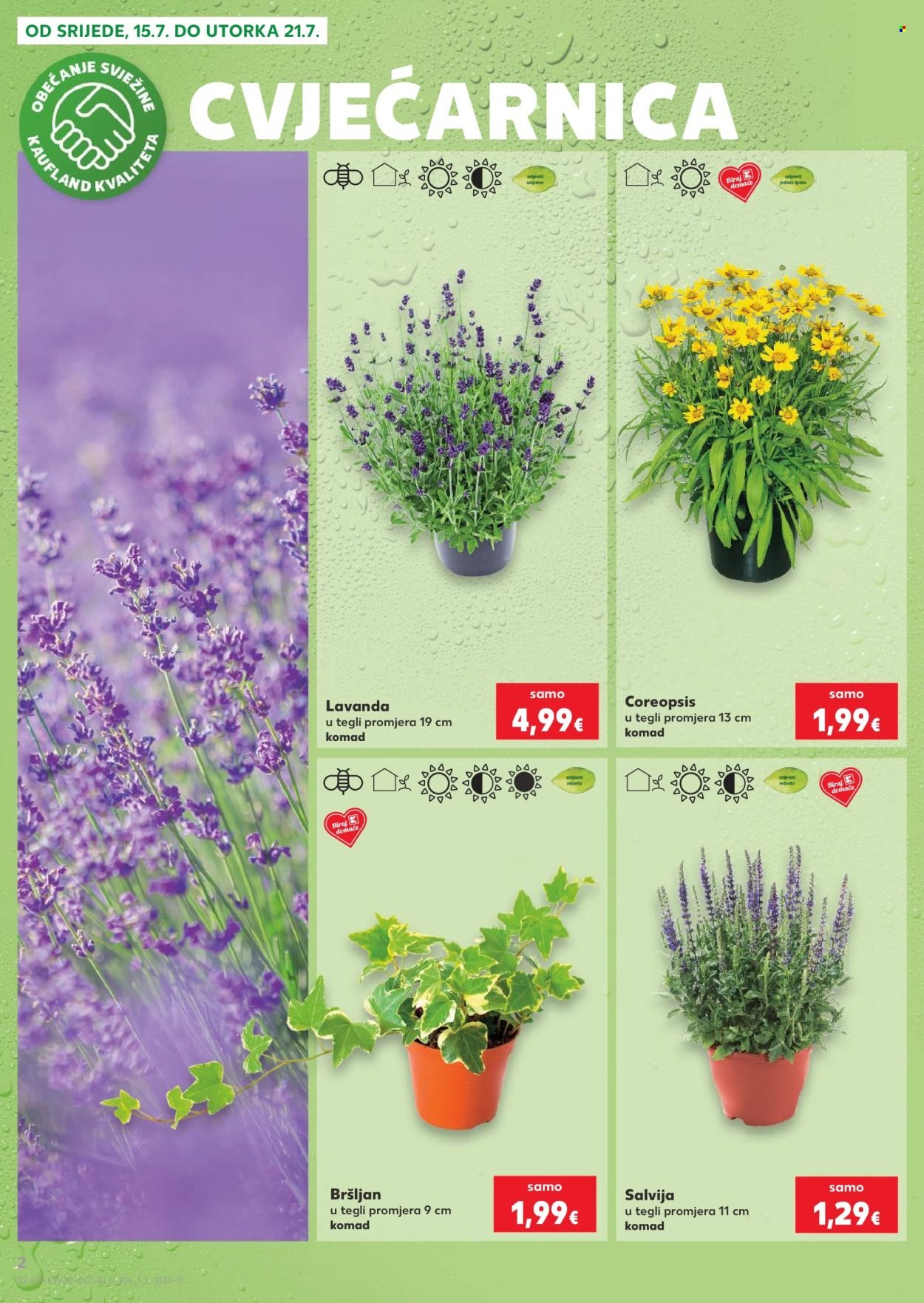 KAUFLAND katalog - ISTE CIJENE NA KOPNU I MORU