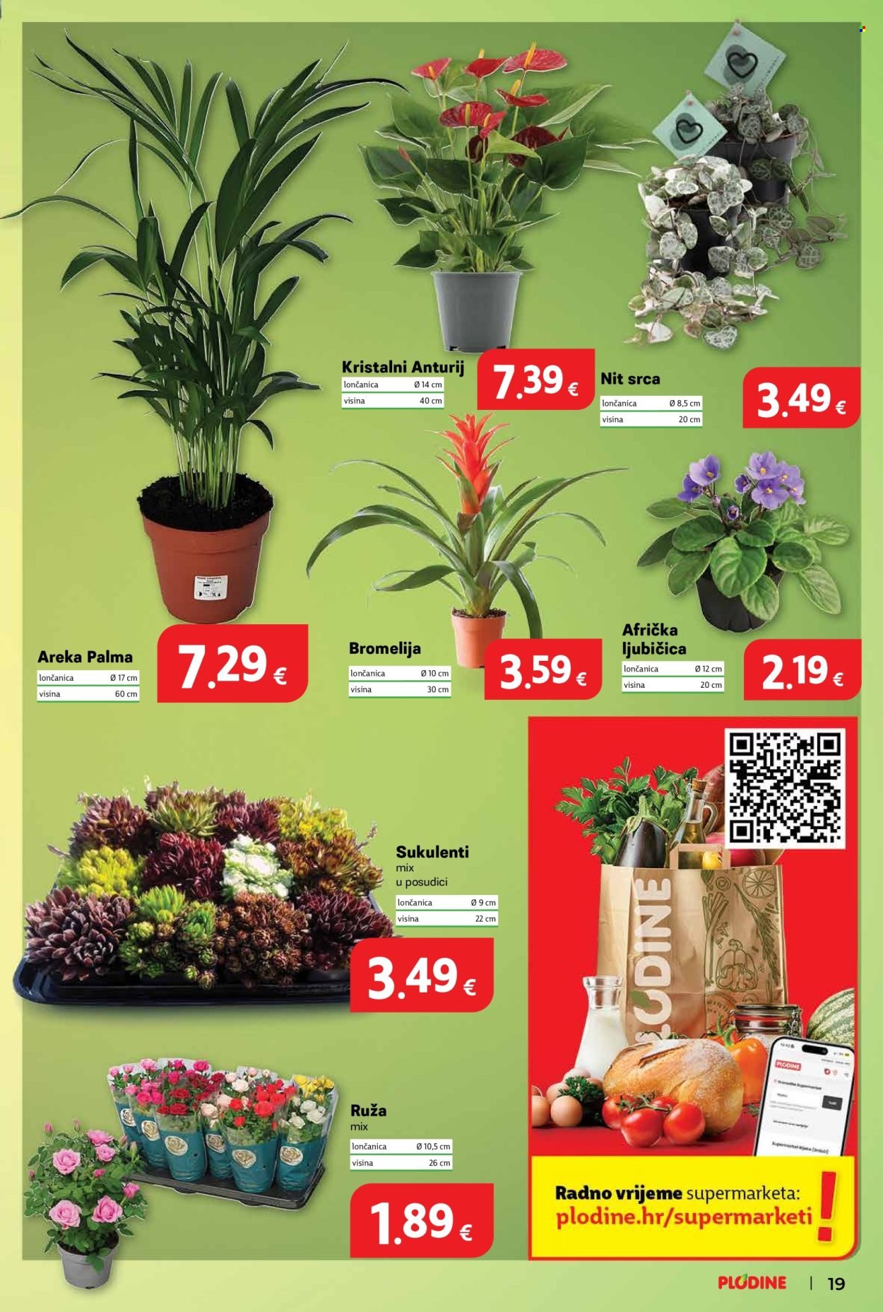 PLODINE katalog - Od srijede 14.01.2026.