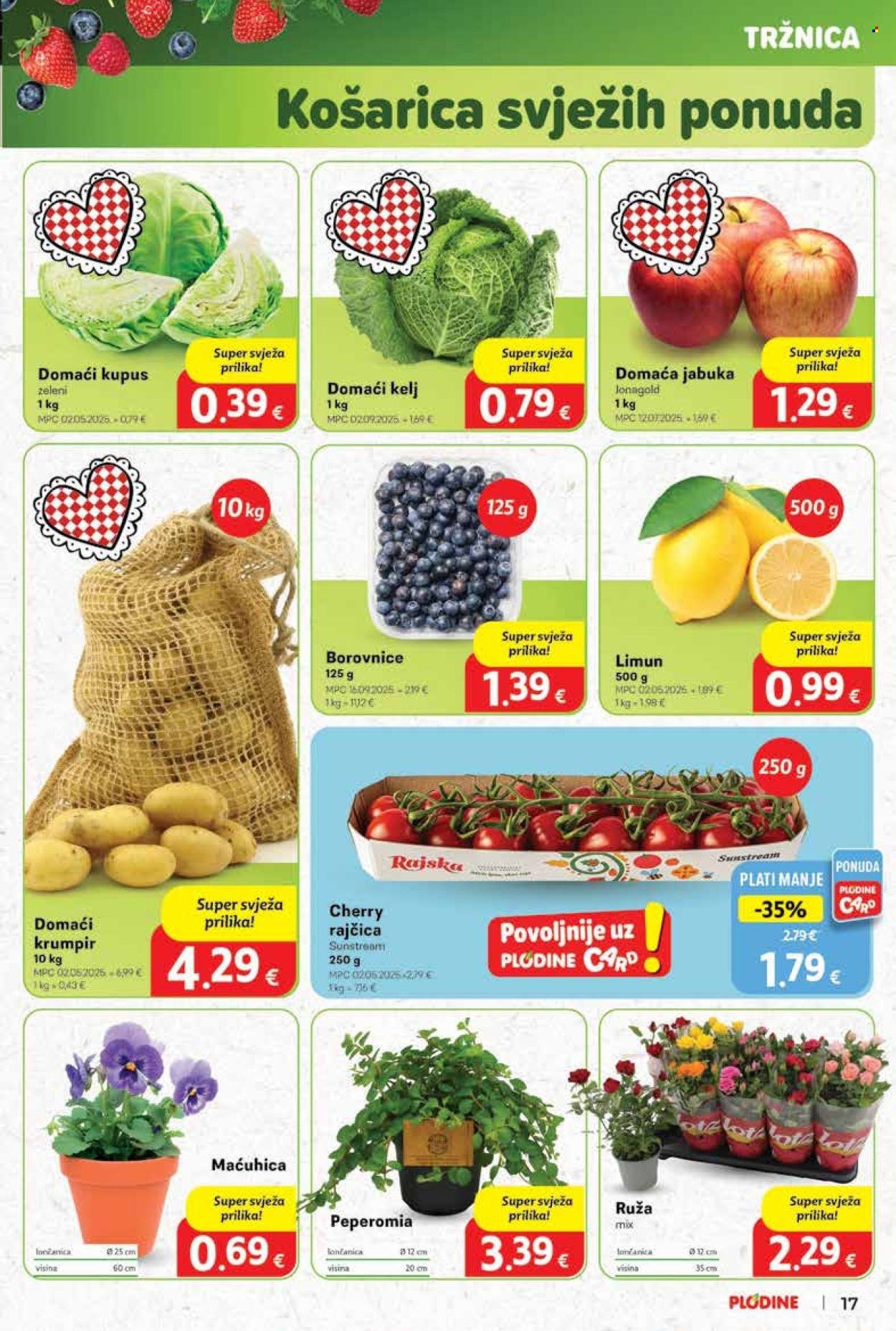 PLODINE katalog - Od srijede 01.10.2025.