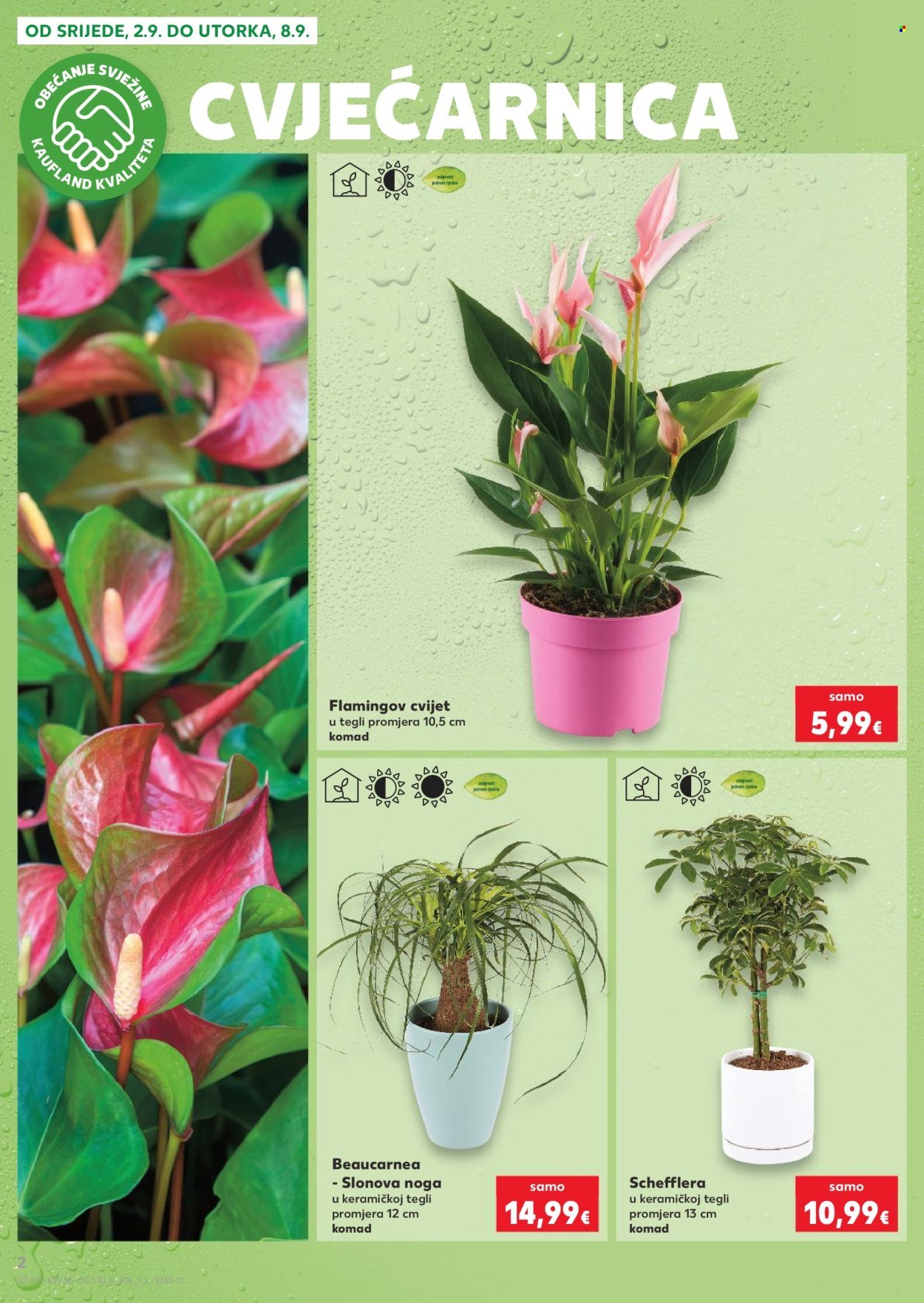 KAUFLAND katalog - Od srijede 02.09.2026.