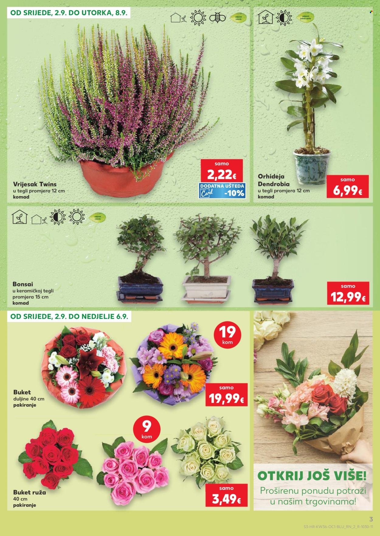 KAUFLAND katalog - Od srijede 02.09.2026.