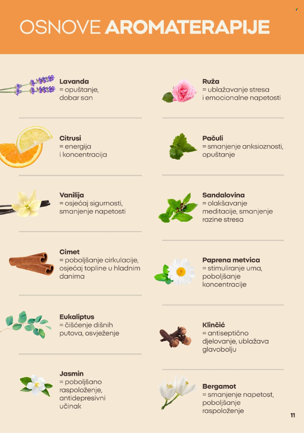 PEPCO katalog - Prirucnik za ljubitelje jeseni
