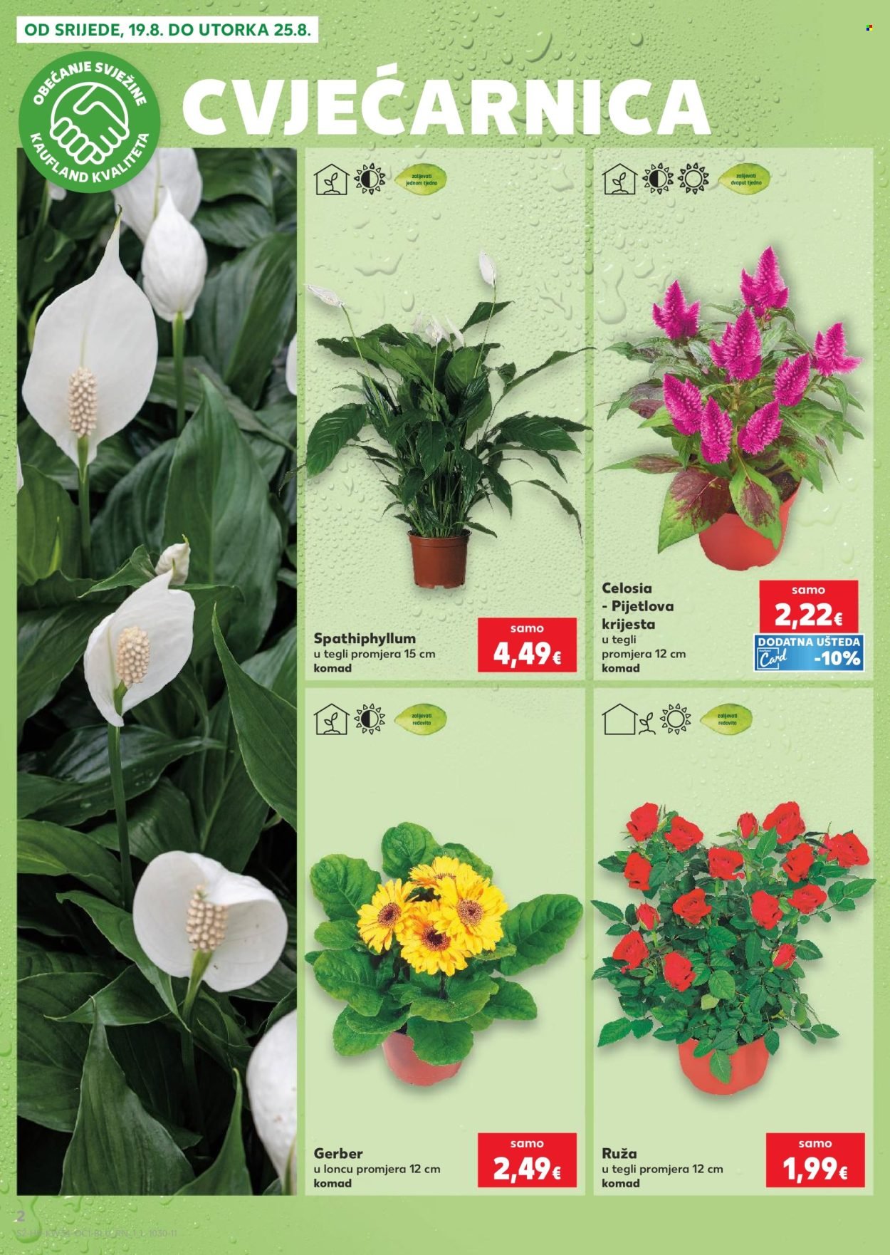 KAUFLAND katalog - Od srijede 19.08.2026.